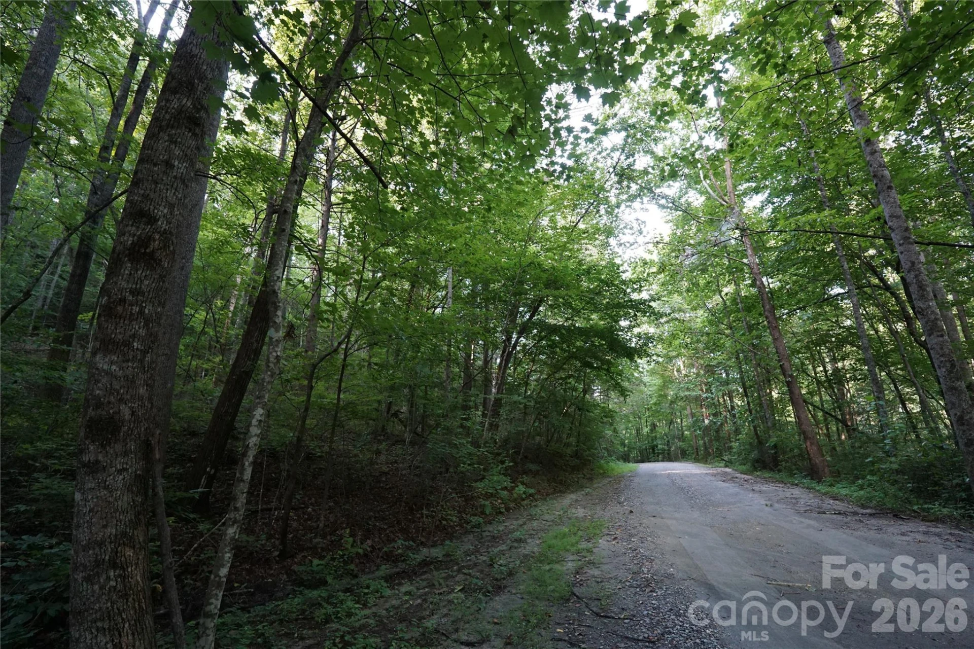 0 S Poplar Drive #162 - Photo 2