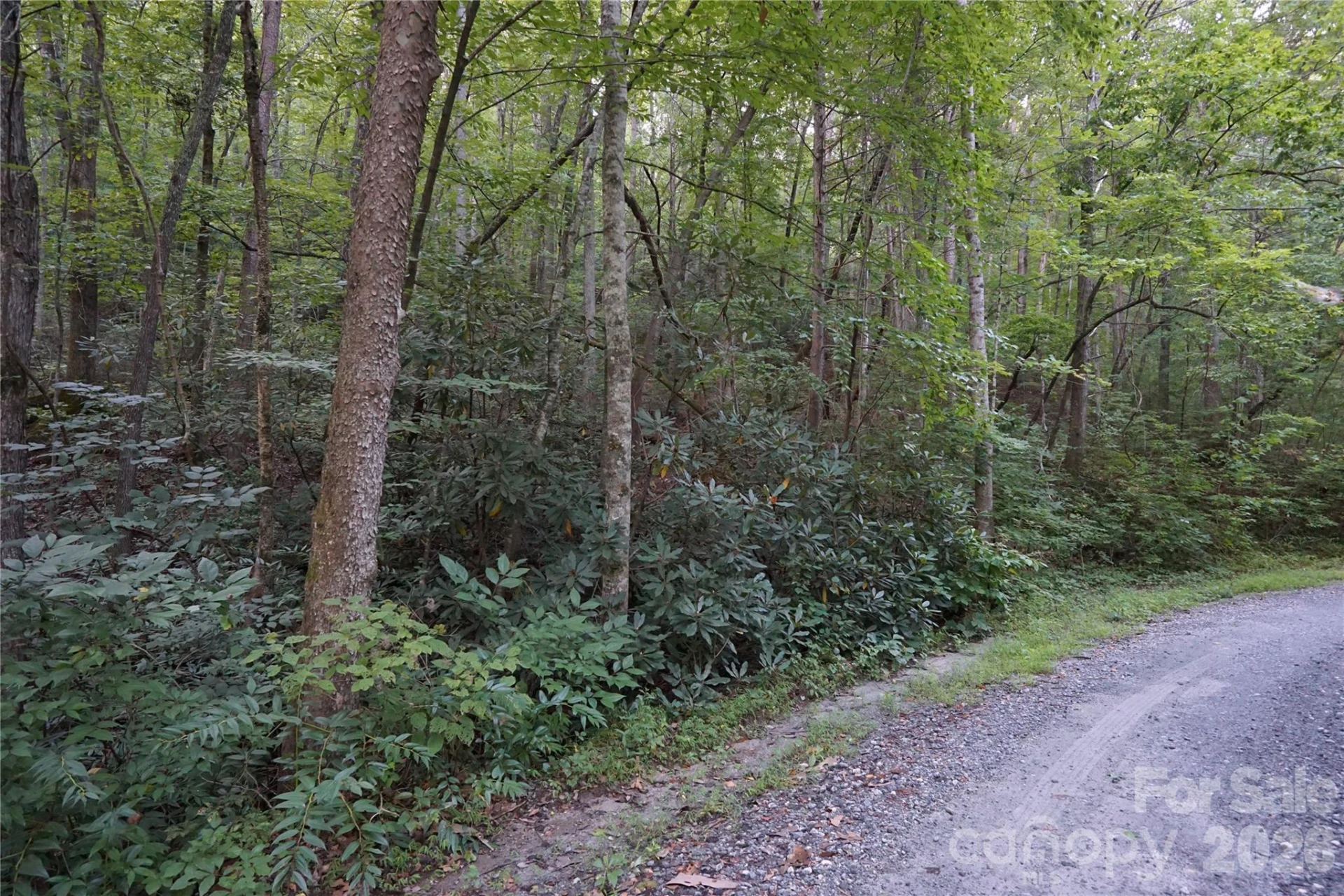 0 S Poplar Drive #162 - Photo 4