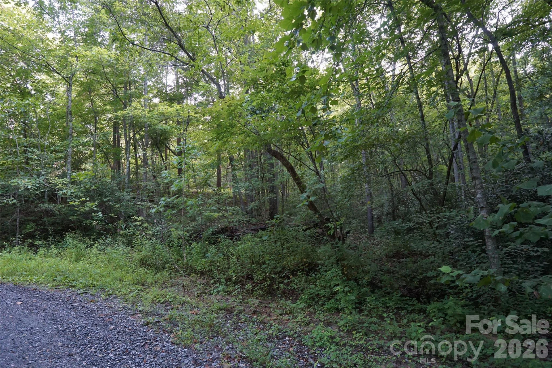 0 S Poplar Drive #162 - Photo 12