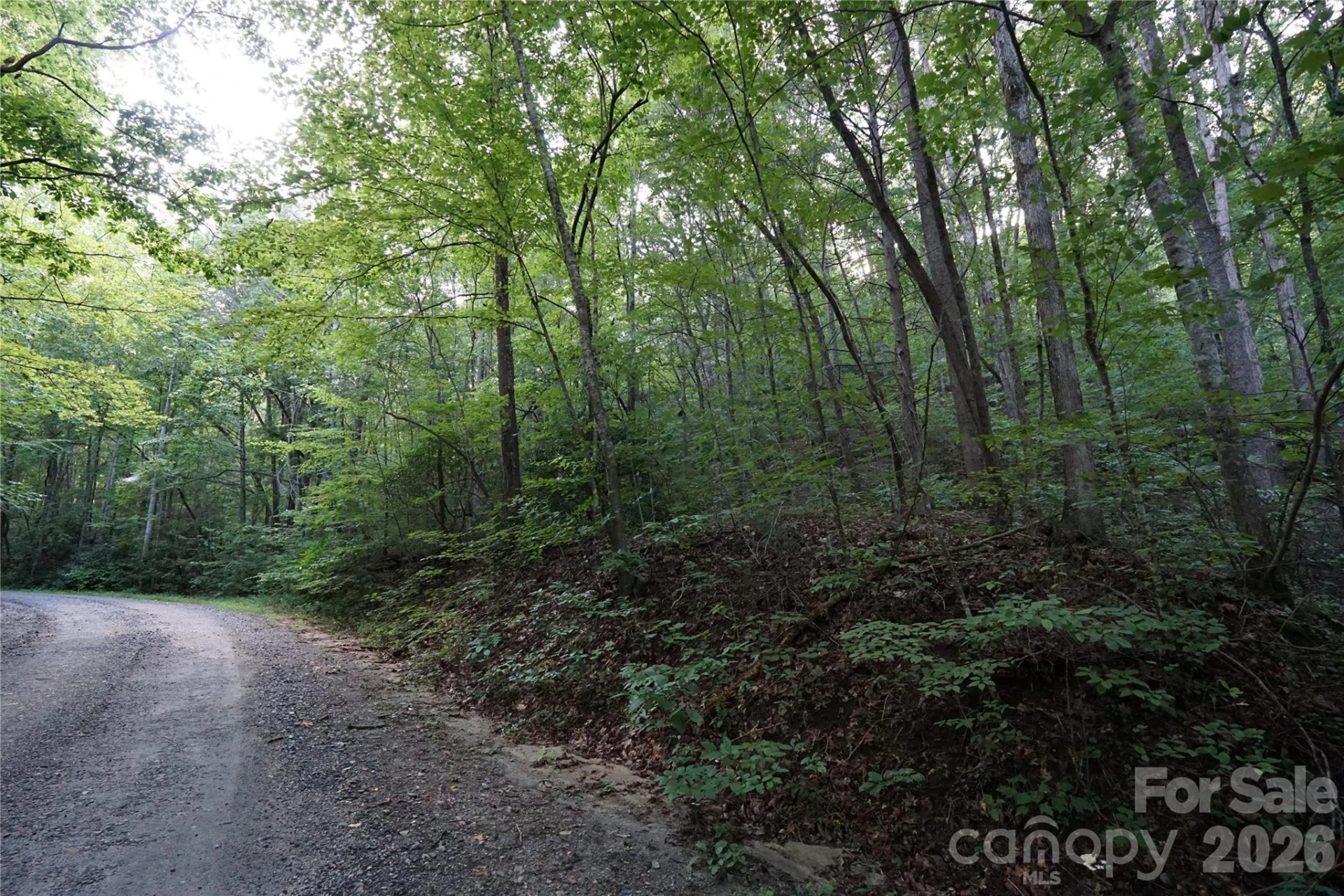 0 S Poplar Drive #162 - Photo 15