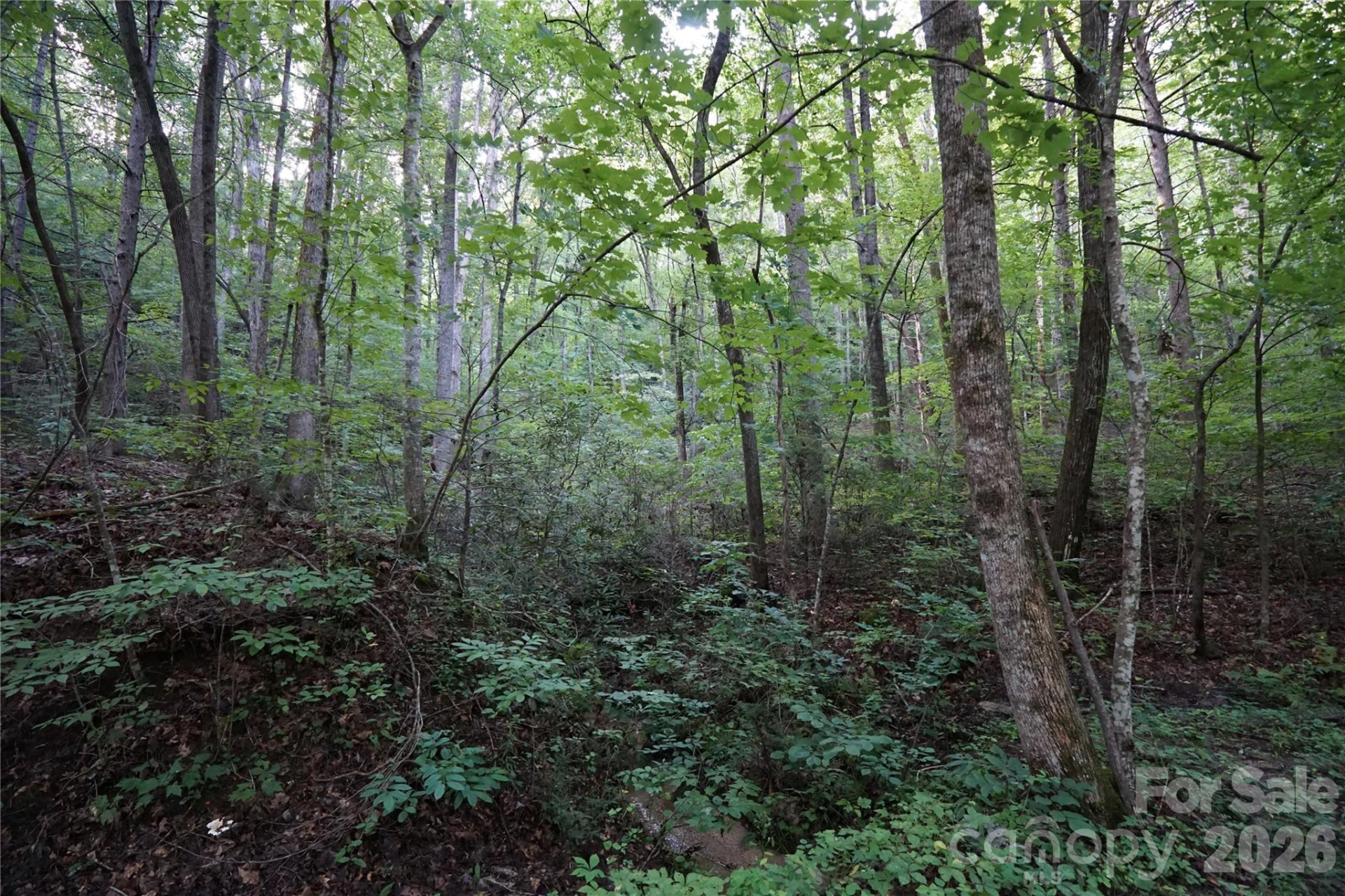 0 S Poplar Drive #162 - Photo 16