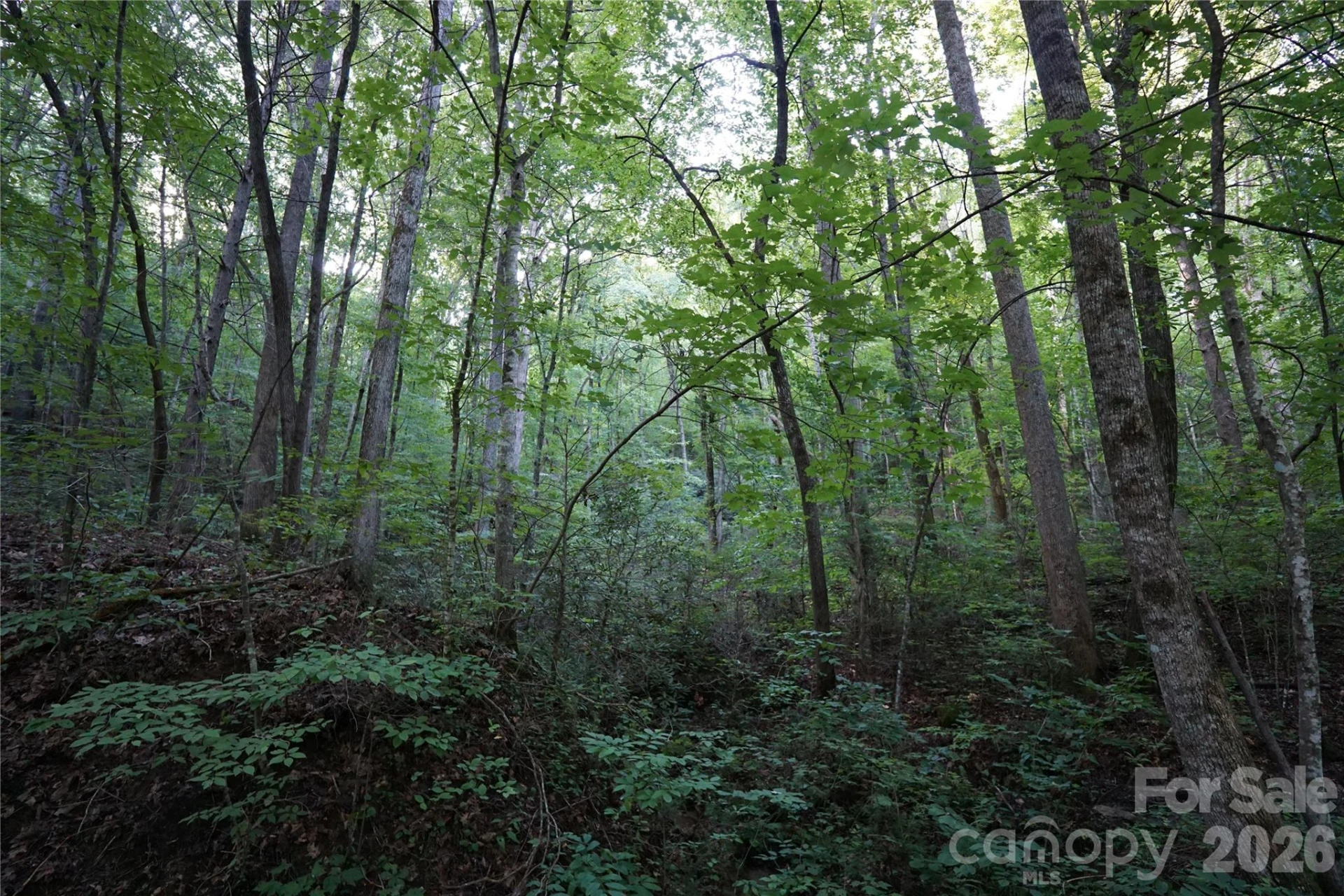 0 S Poplar Drive #162 - Photo 17