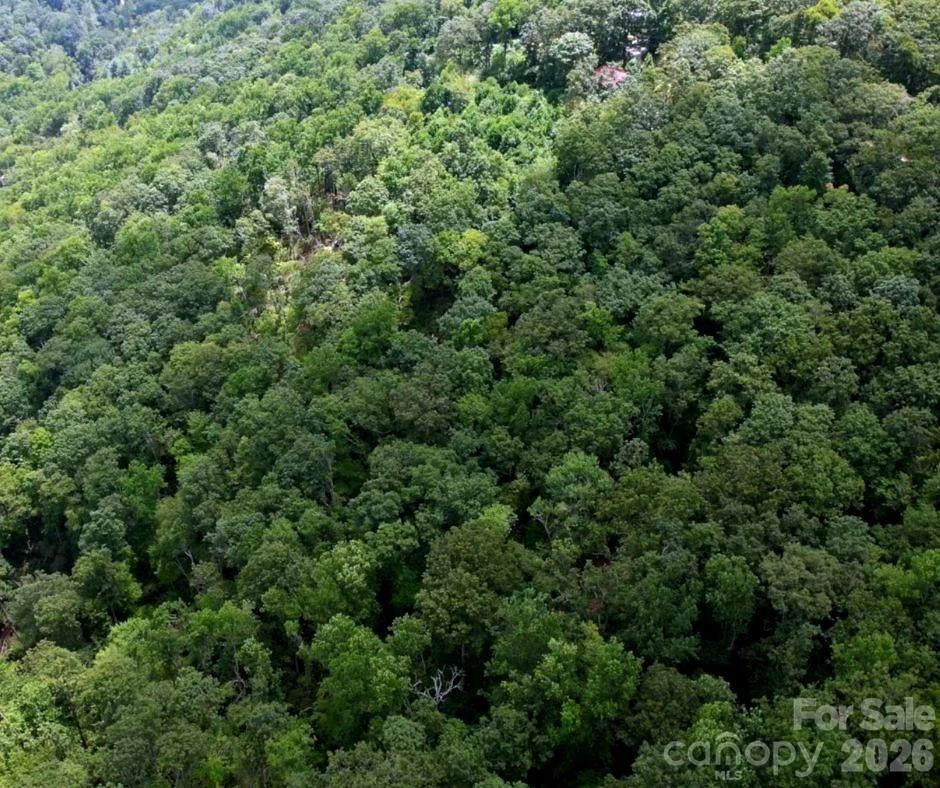 13 Old Mill Road - Photo 6