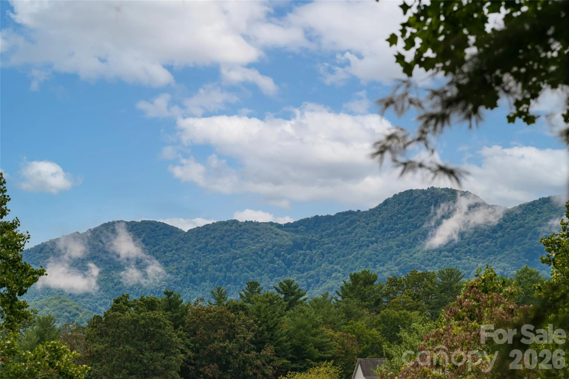 427 Shadowwood Drive - Photo 4