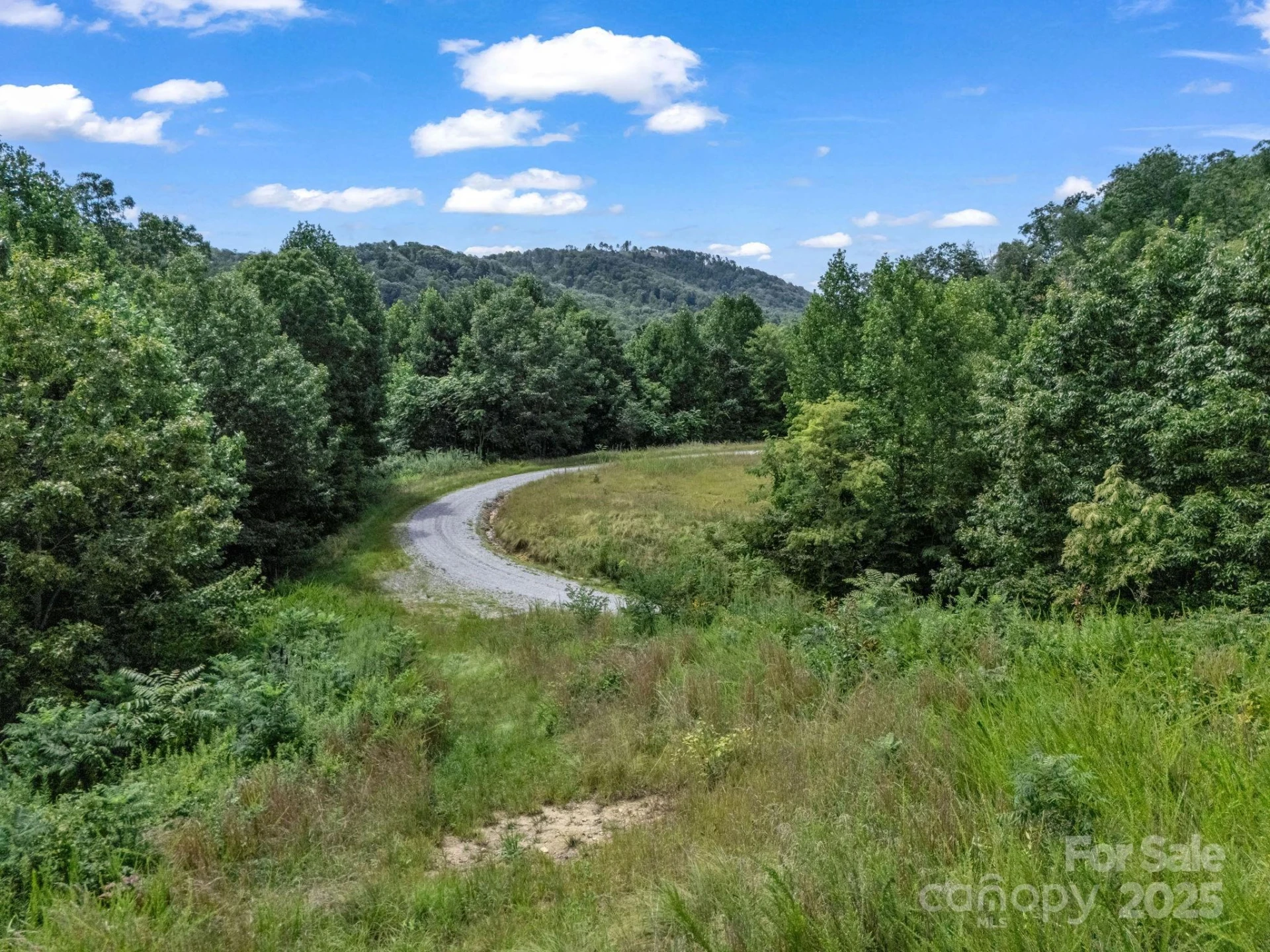 000 Climbing Road - Photo 4