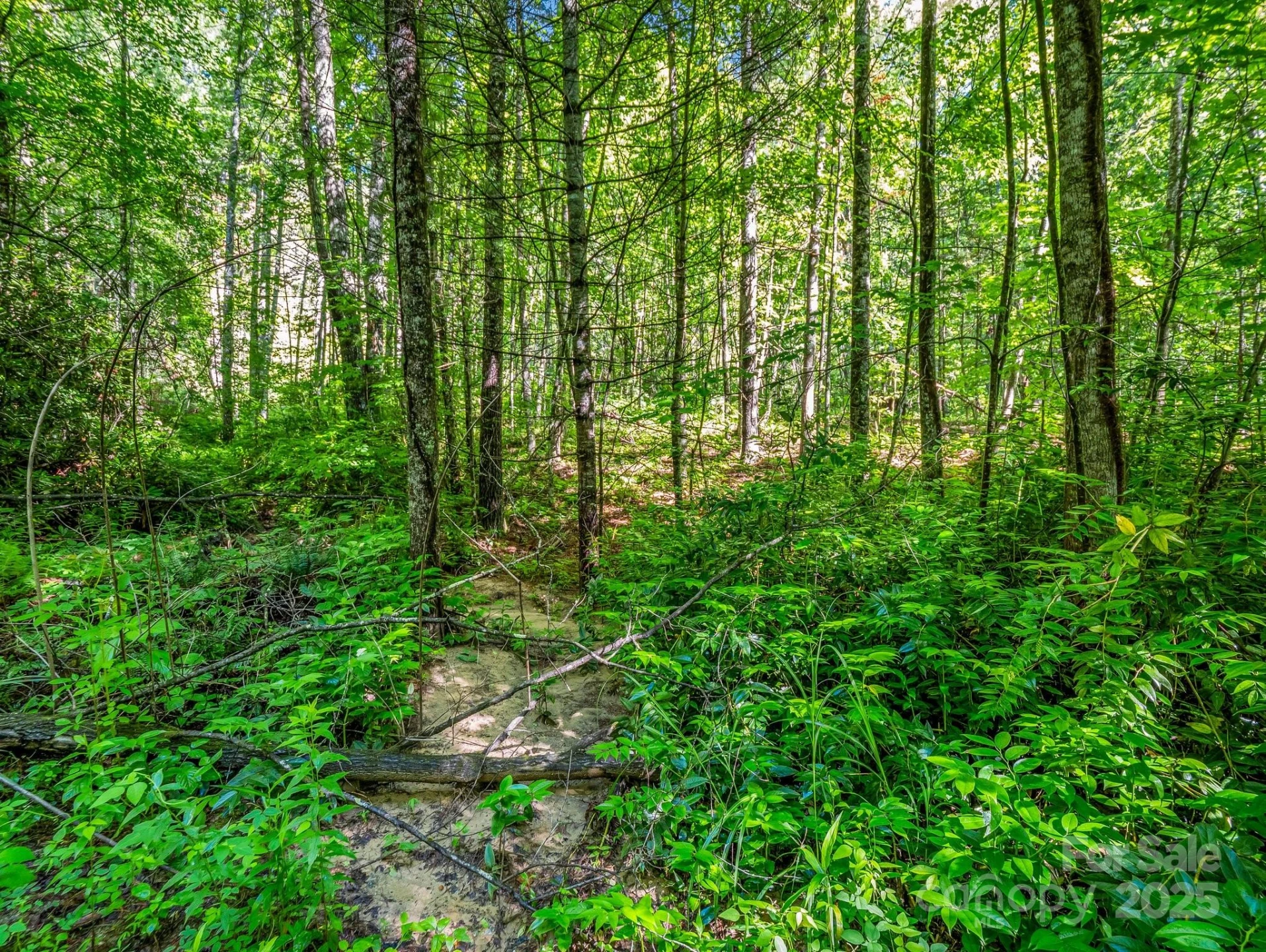 000 Climbing Road - Photo 10
