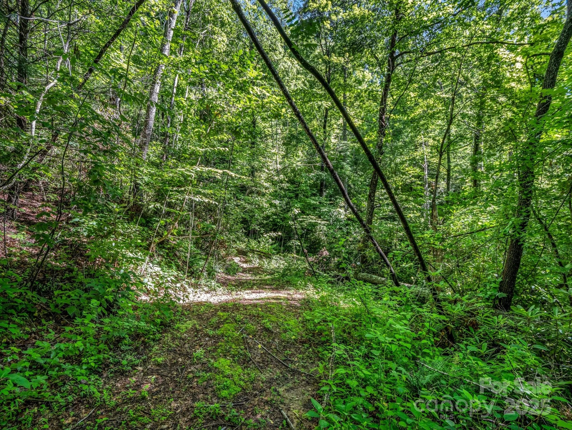 000 Climbing Road - Photo 12