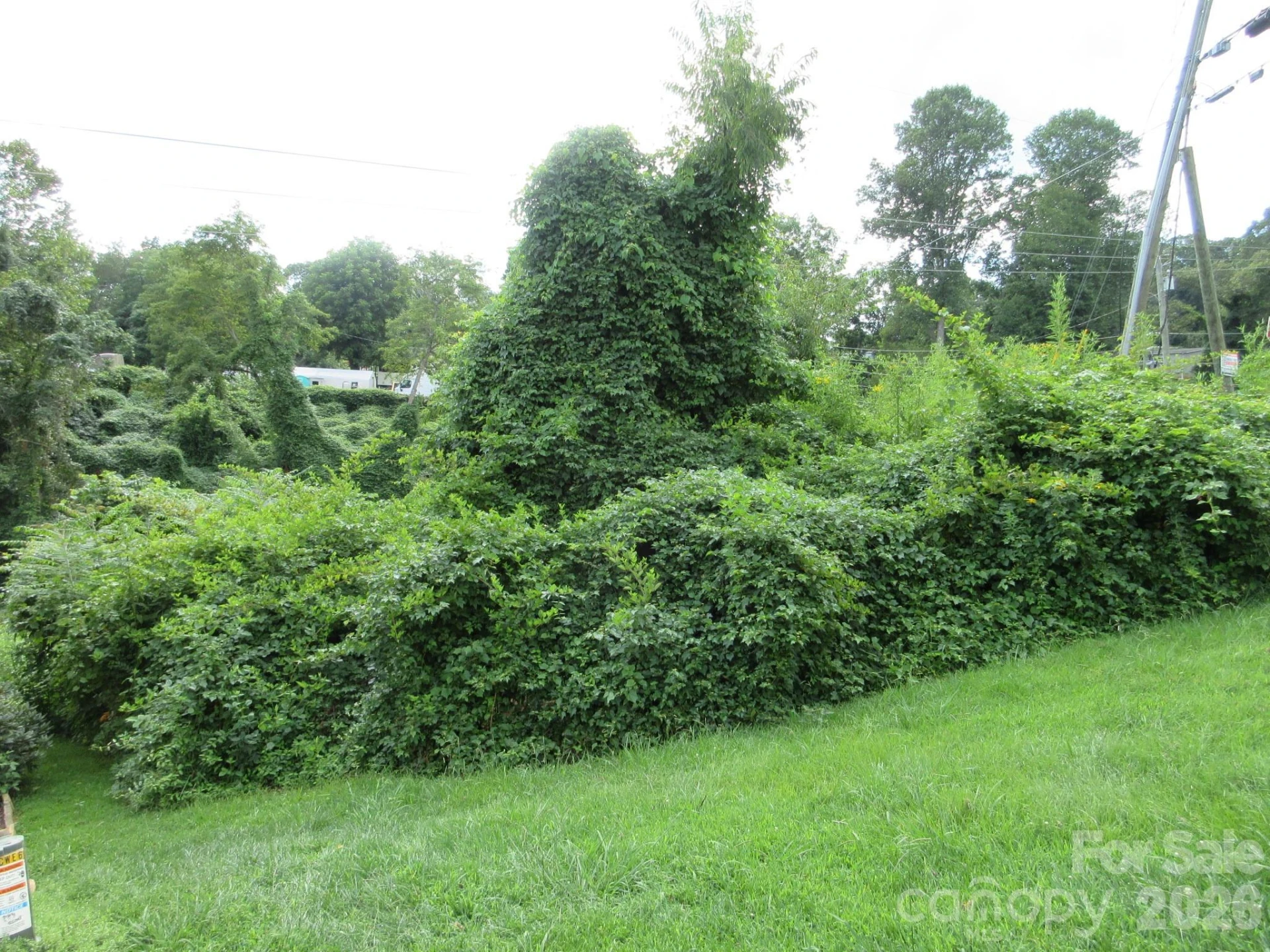 3 N Belgium Lane - Photo 3