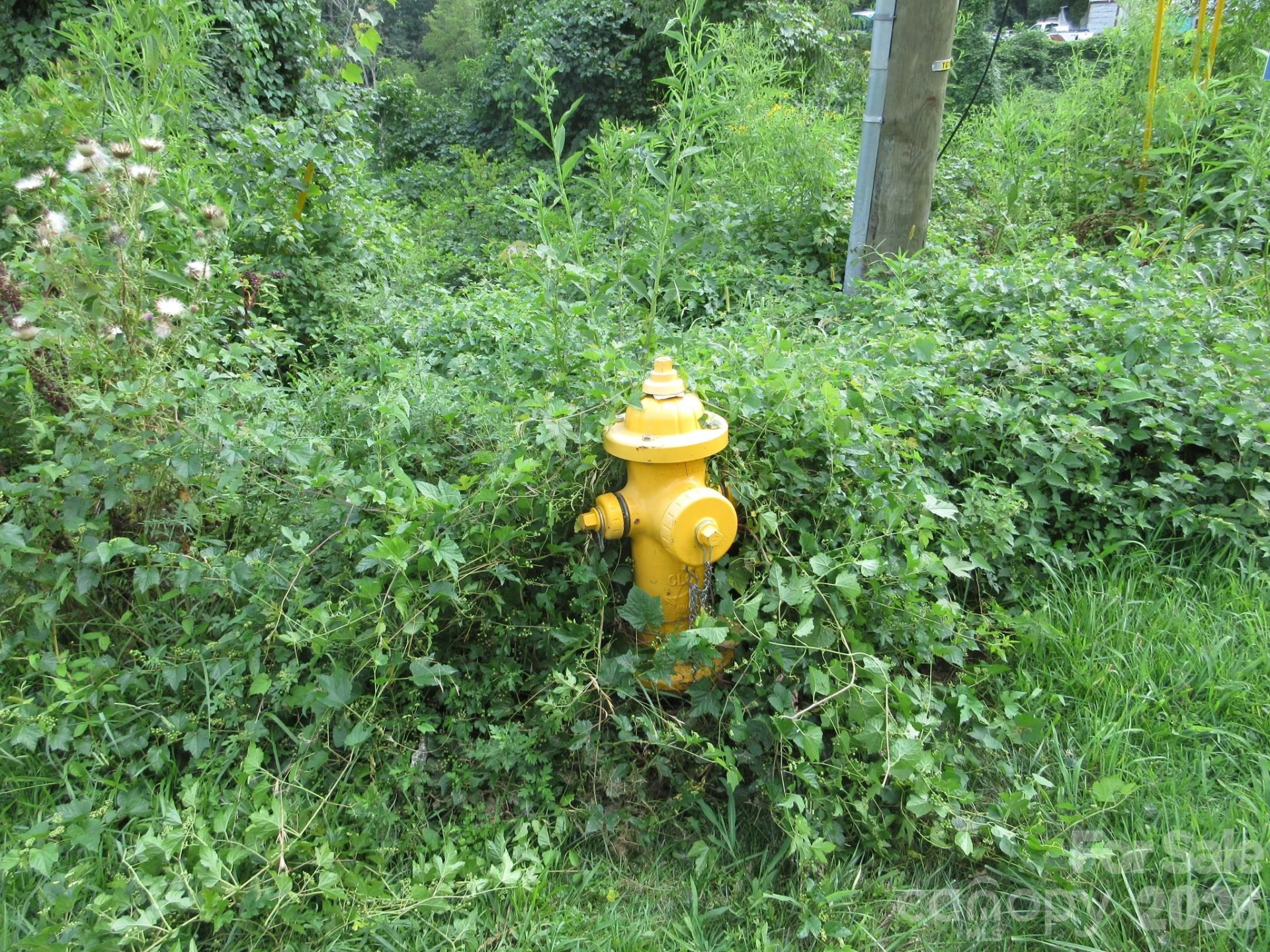3 N Belgium Lane - Photo 4