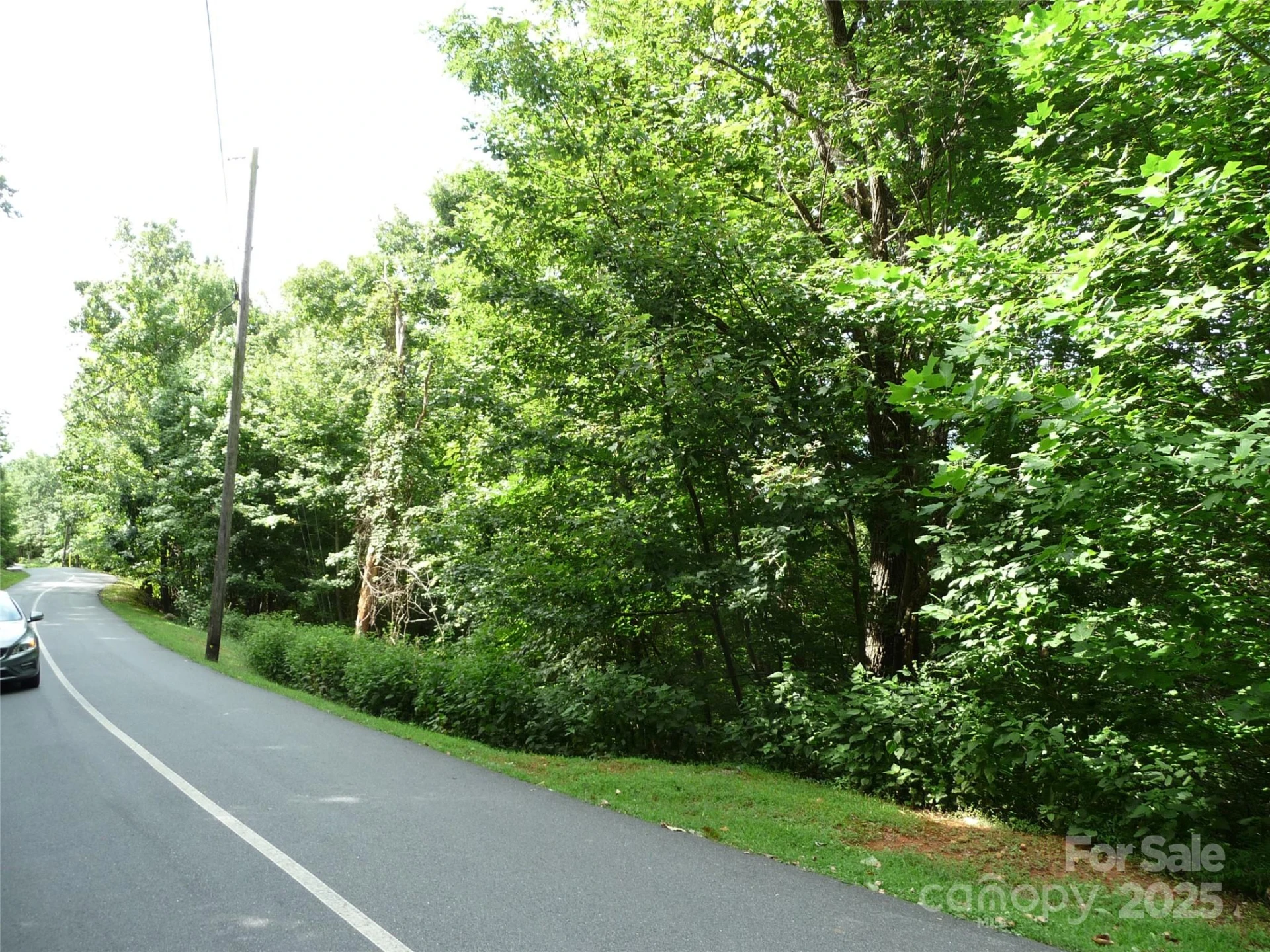 Lot 35 Morning Ride Drive #Lot 35 - Photo 4