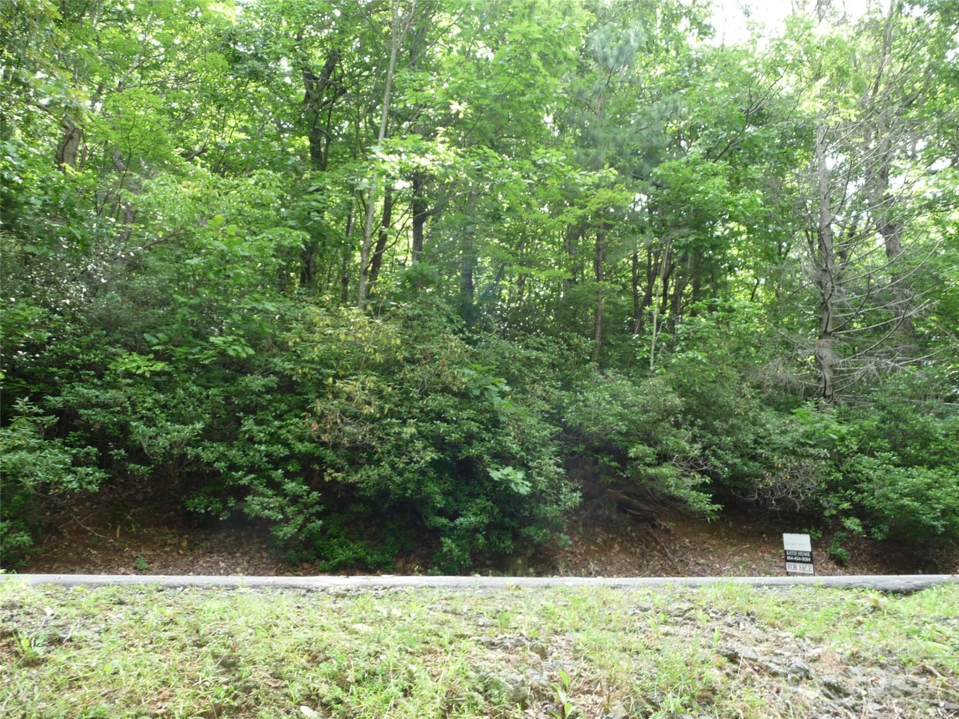 Lot 70 Serpentine Drive #Lot 70 - Photo 3