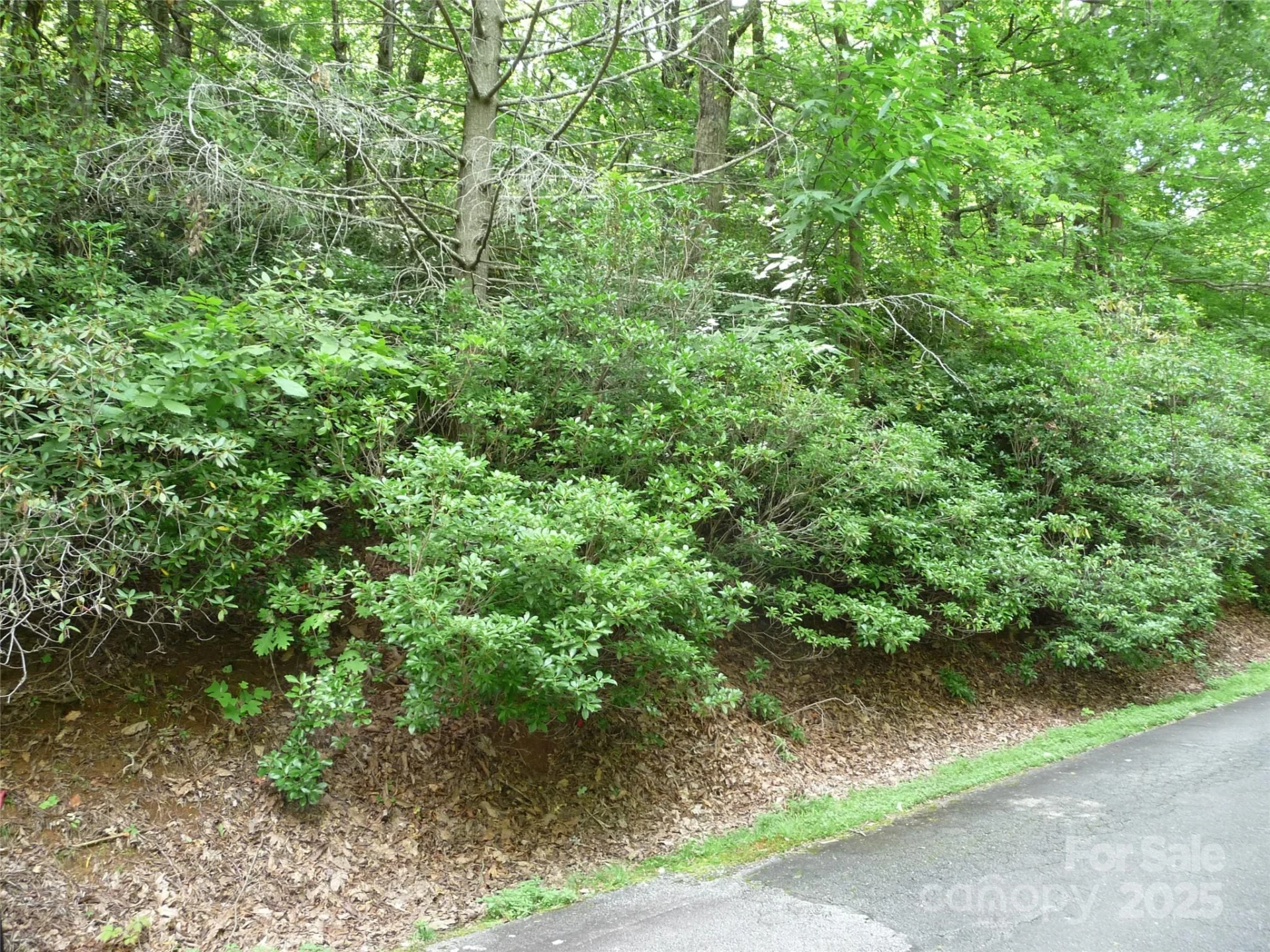 Lot 70 Serpentine Drive #Lot 70 - Photo 5