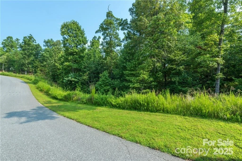 V/L Ridge Point Road #19 - Photo 6