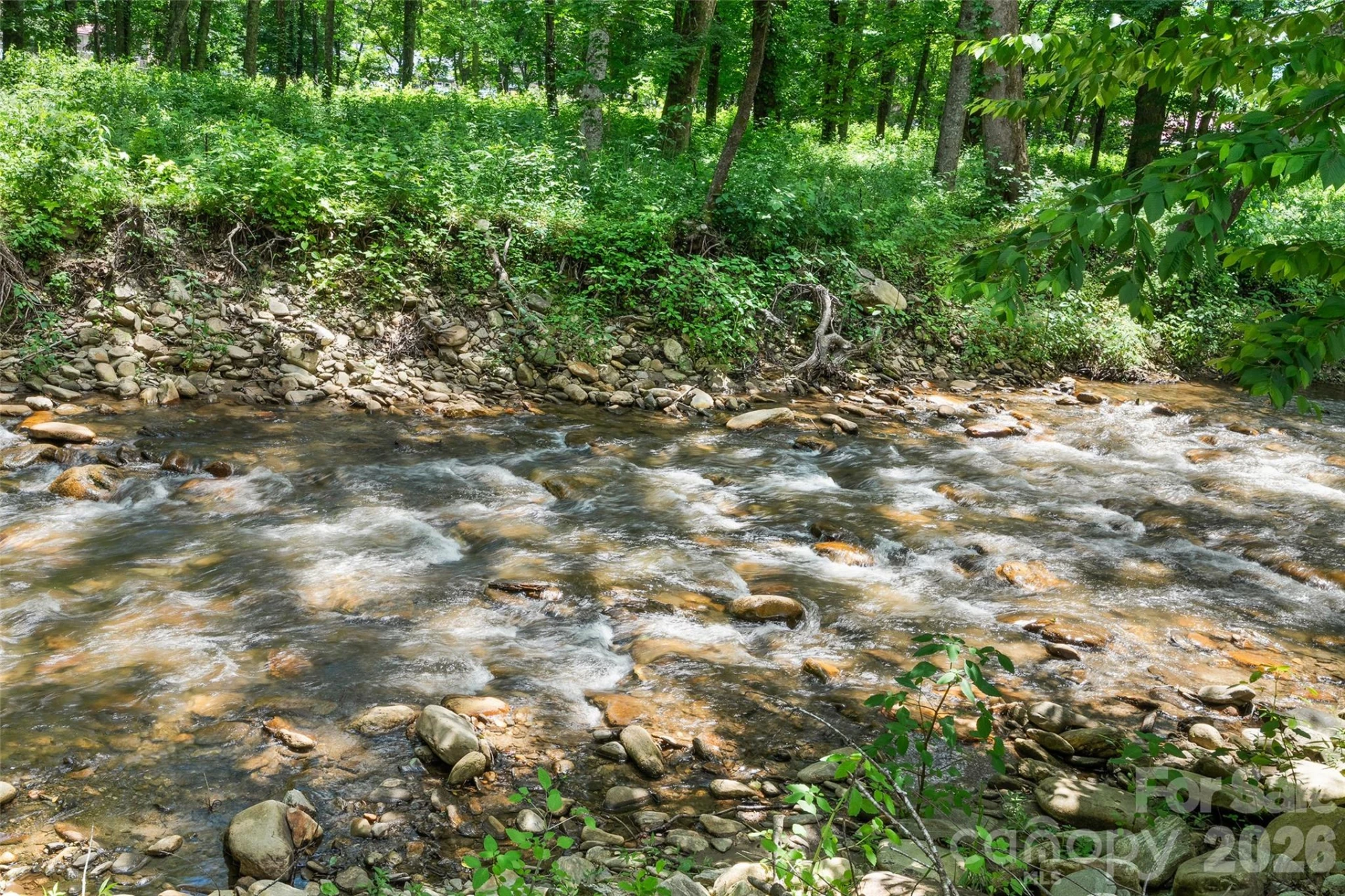 Tract 3 & 4 Badd Lane - Photo 16