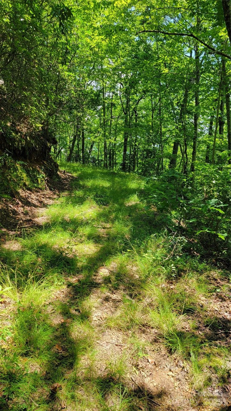 TBD Frozen Creek Road - Photo 22