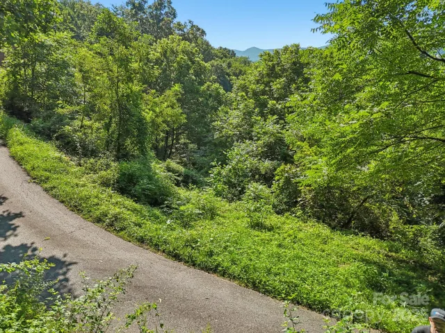 50 Slim Ridge