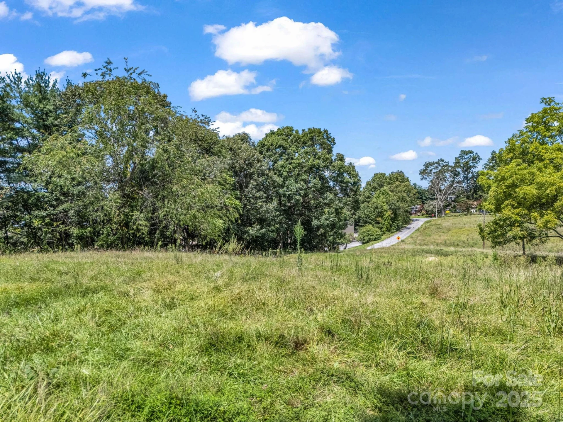 410 Freeman Street - Photo 13