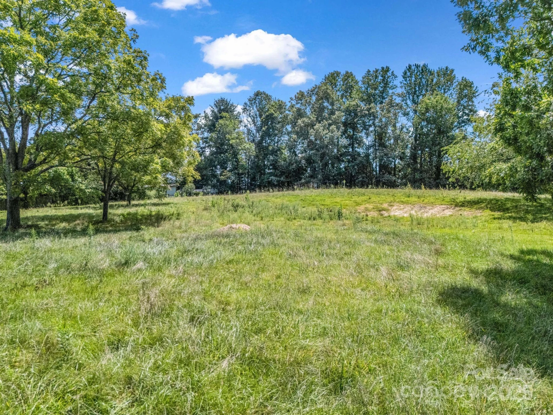 410 Freeman Street - Photo 13