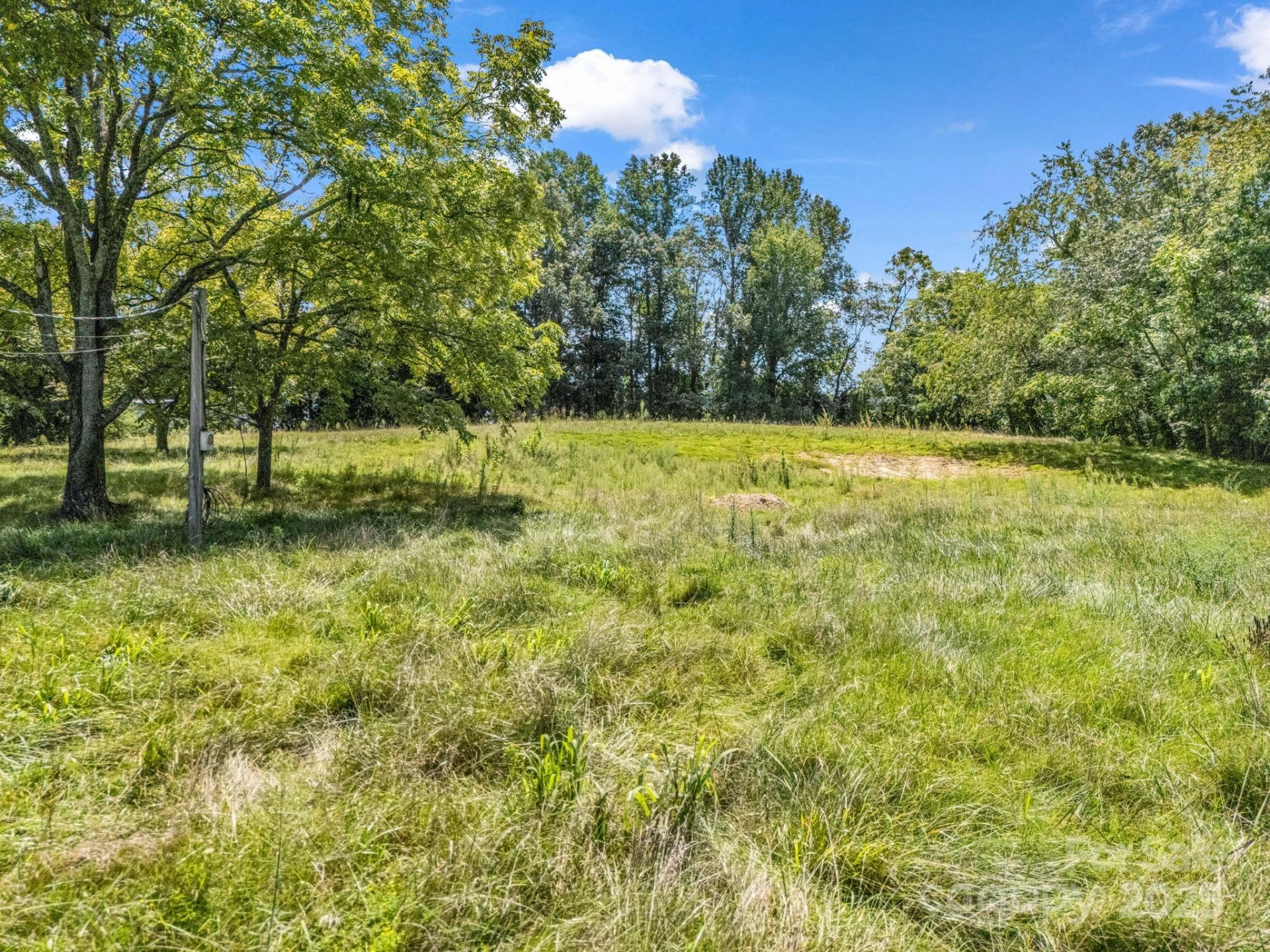 410 Freeman Street - Photo 14