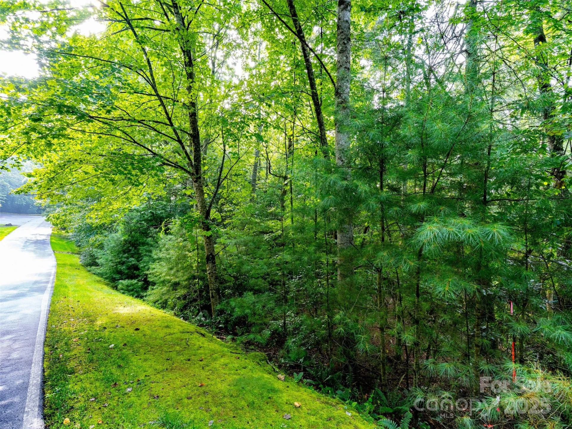 153 Chattooga Run #228 - Photo 14