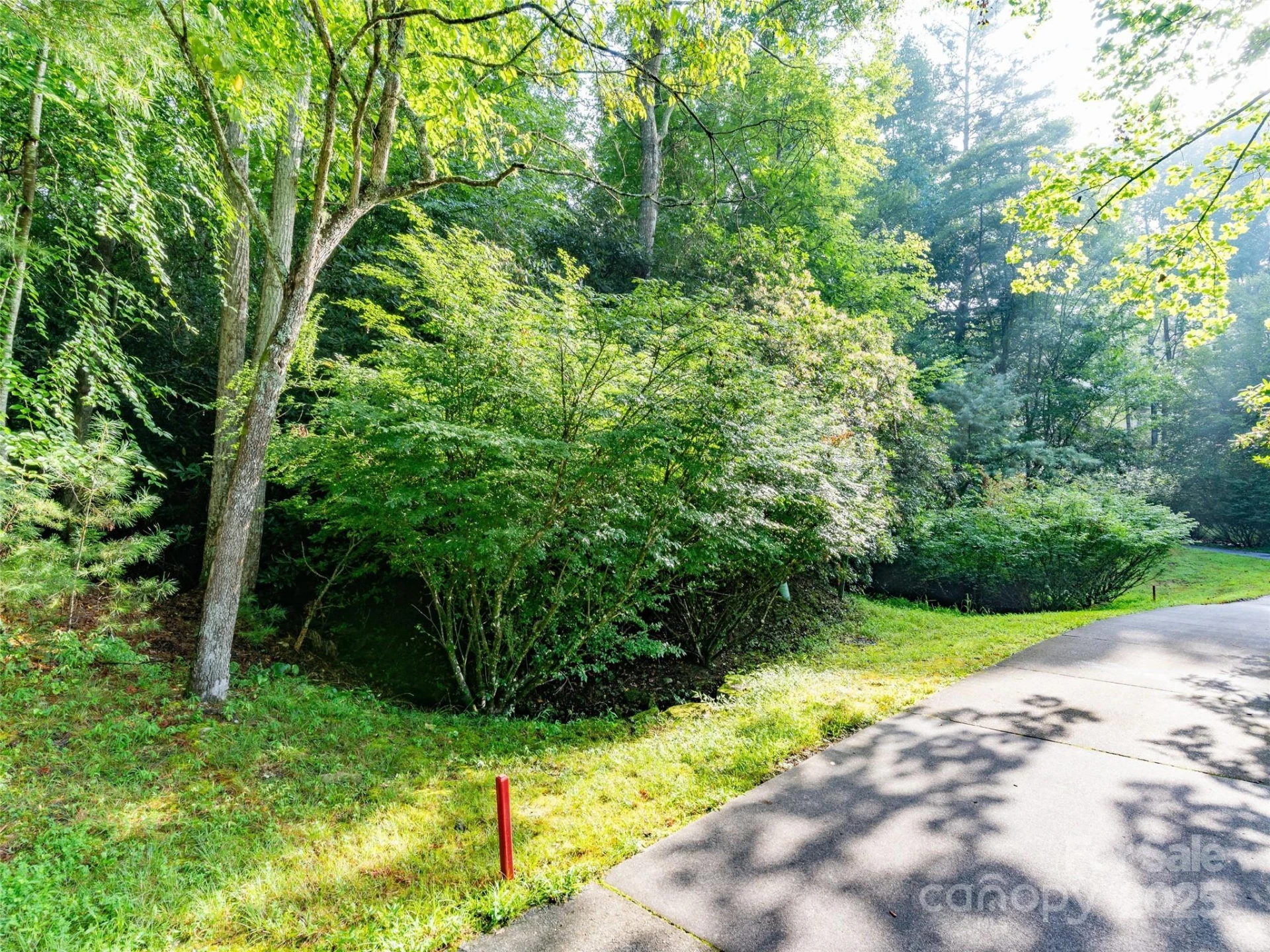 153 Chattooga Run #228 - Photo 3