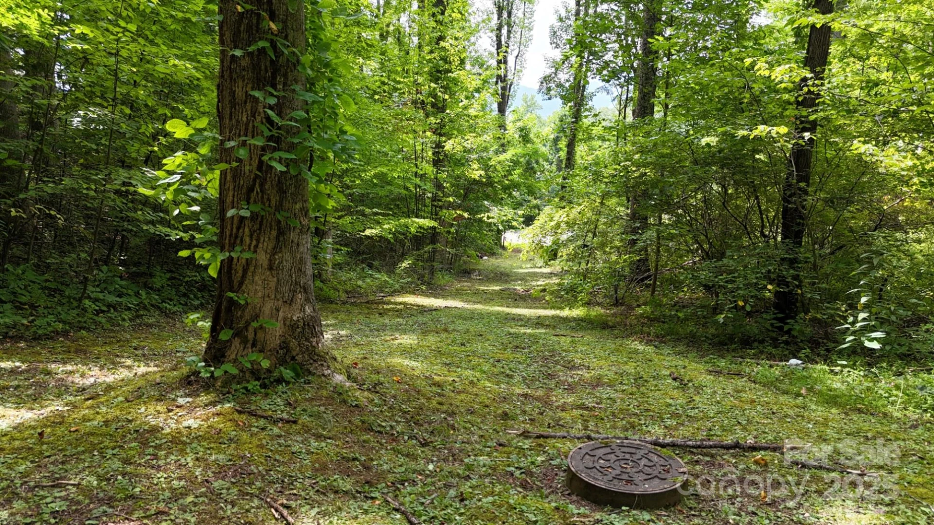 Lot 12 Roselyn Park Drive - Photo 9