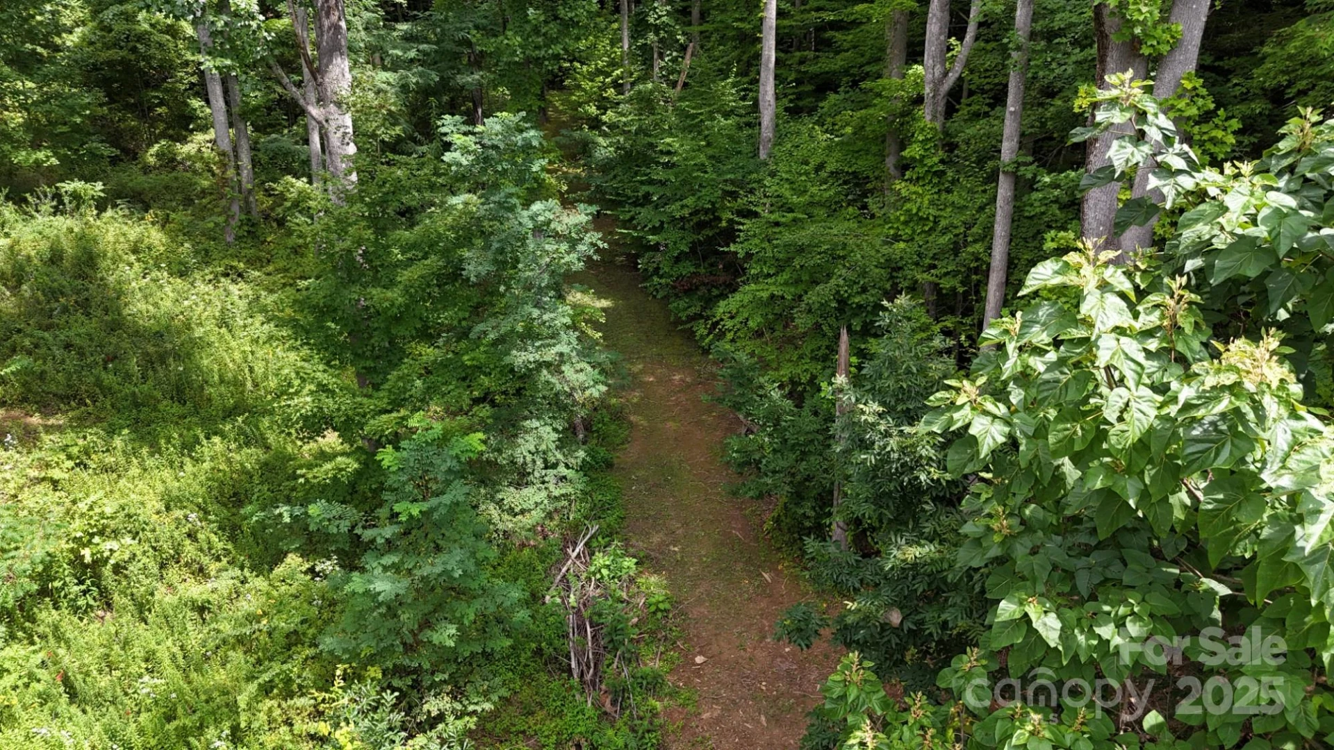 Lot 12 Roselyn Park Drive - Photo 10