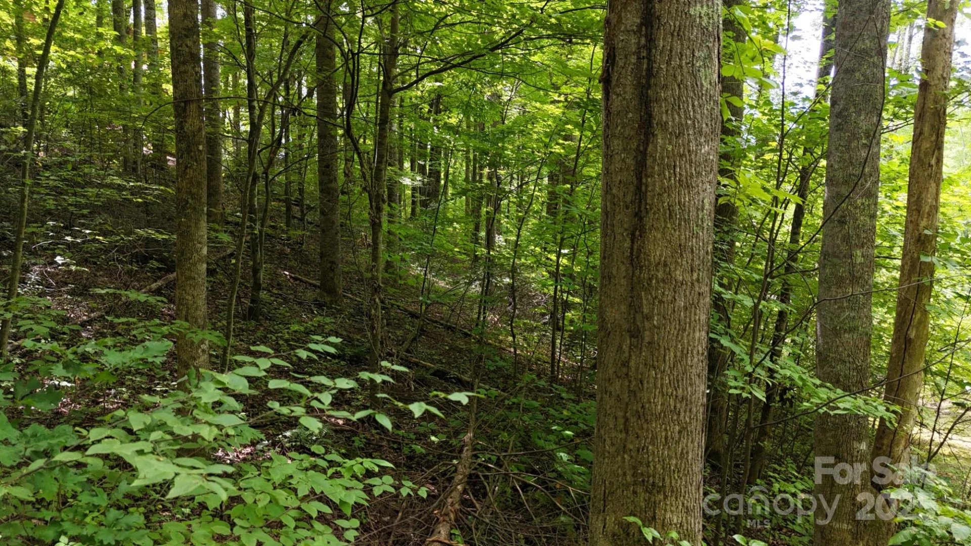 Lot 12 Roselyn Park Drive - Photo 13