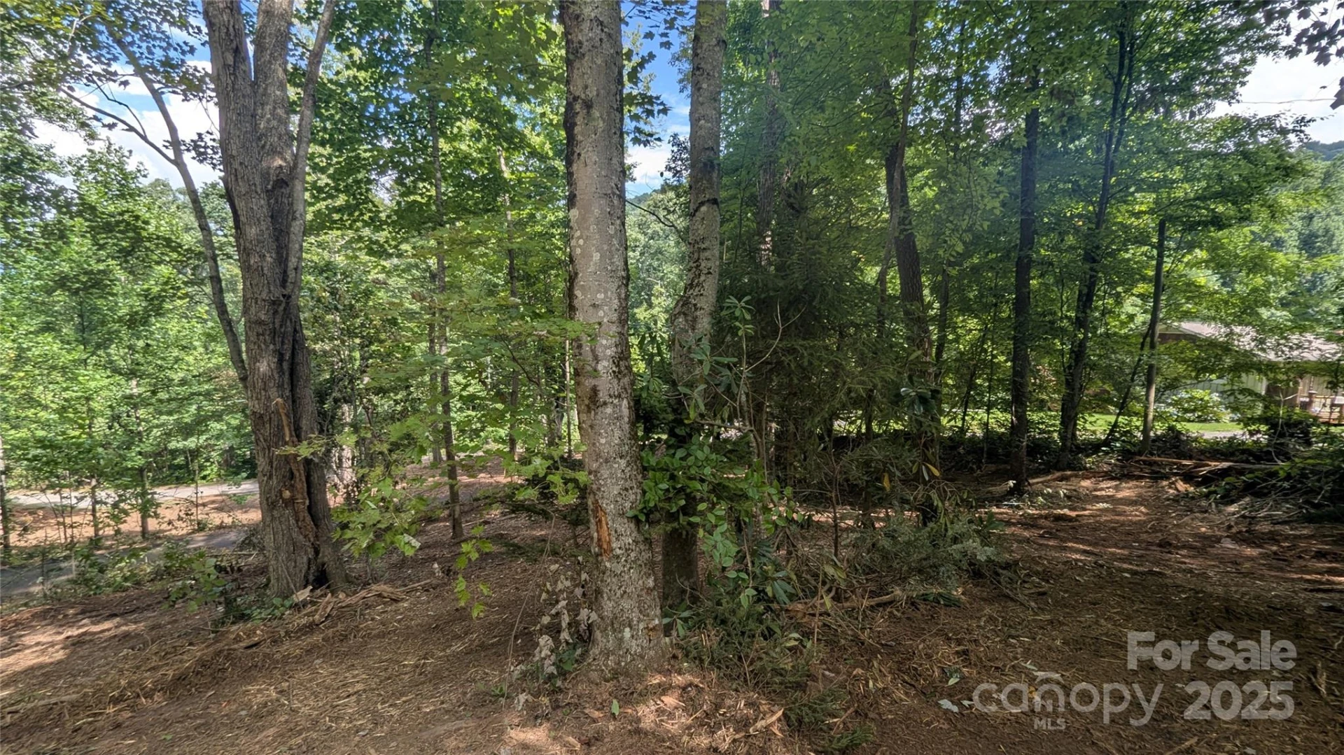 707 Apple Tree Court #32 - Photo 11