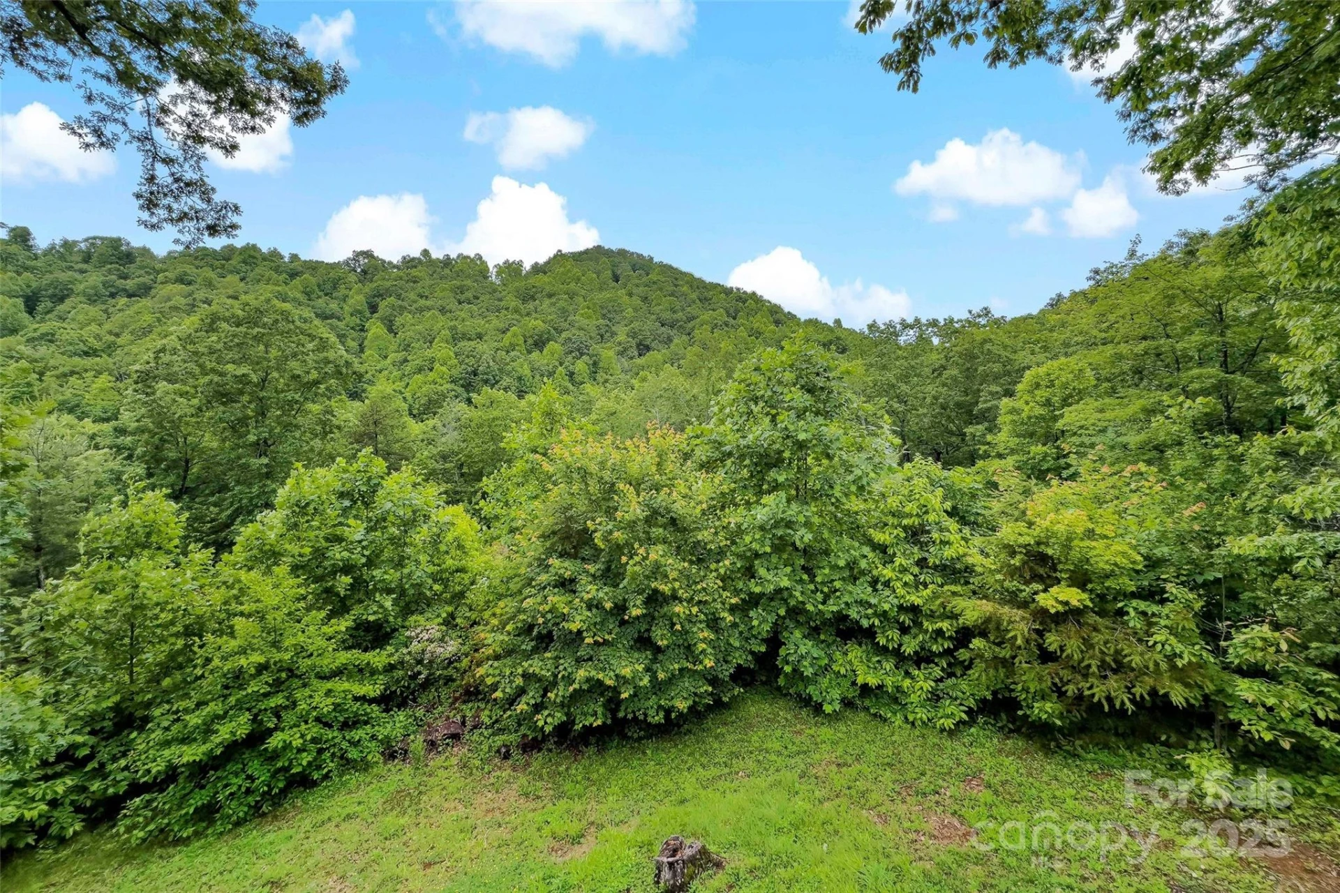2097 Pinnacle Parkway - Photo 12