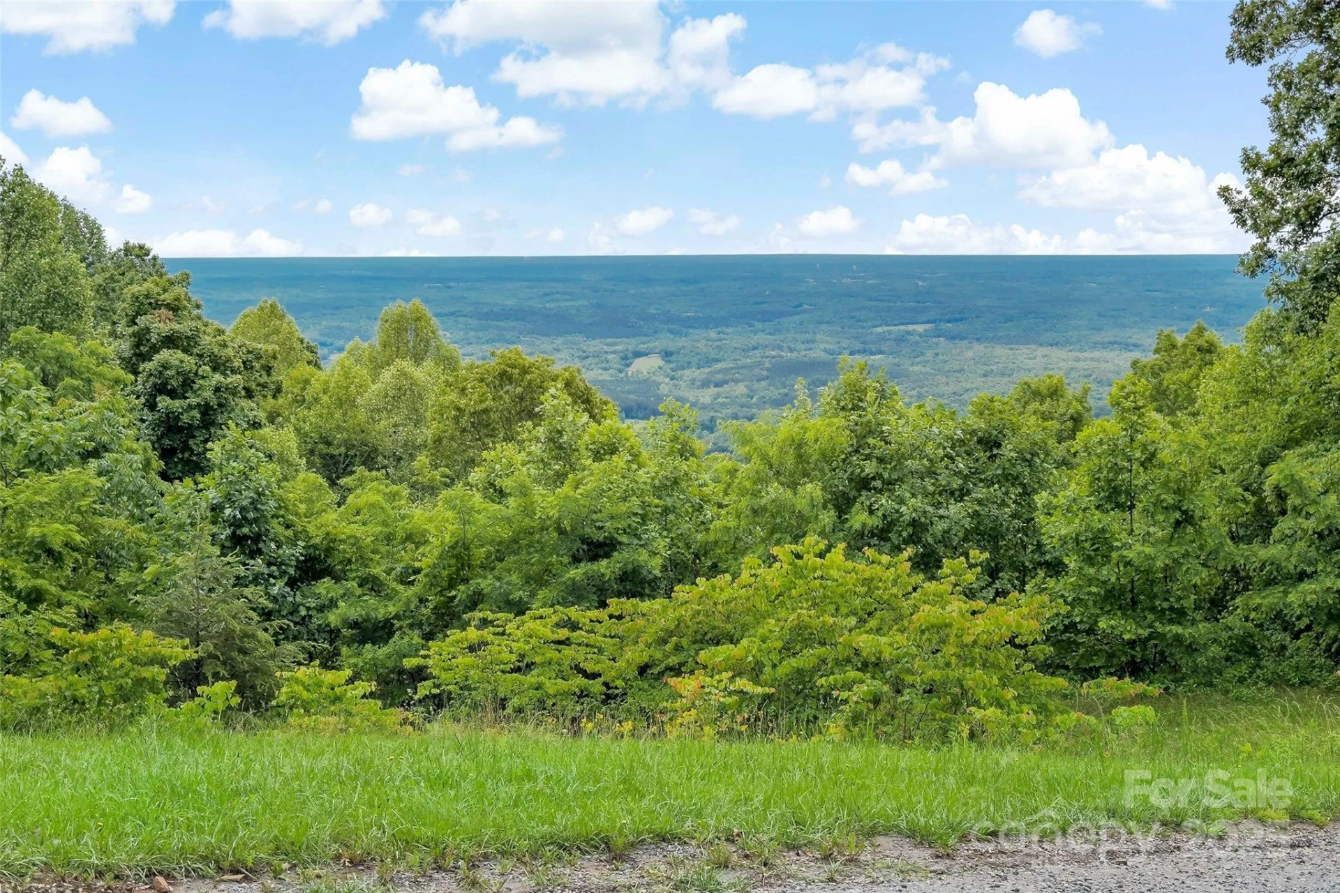 2097 Pinnacle Parkway - Photo 42