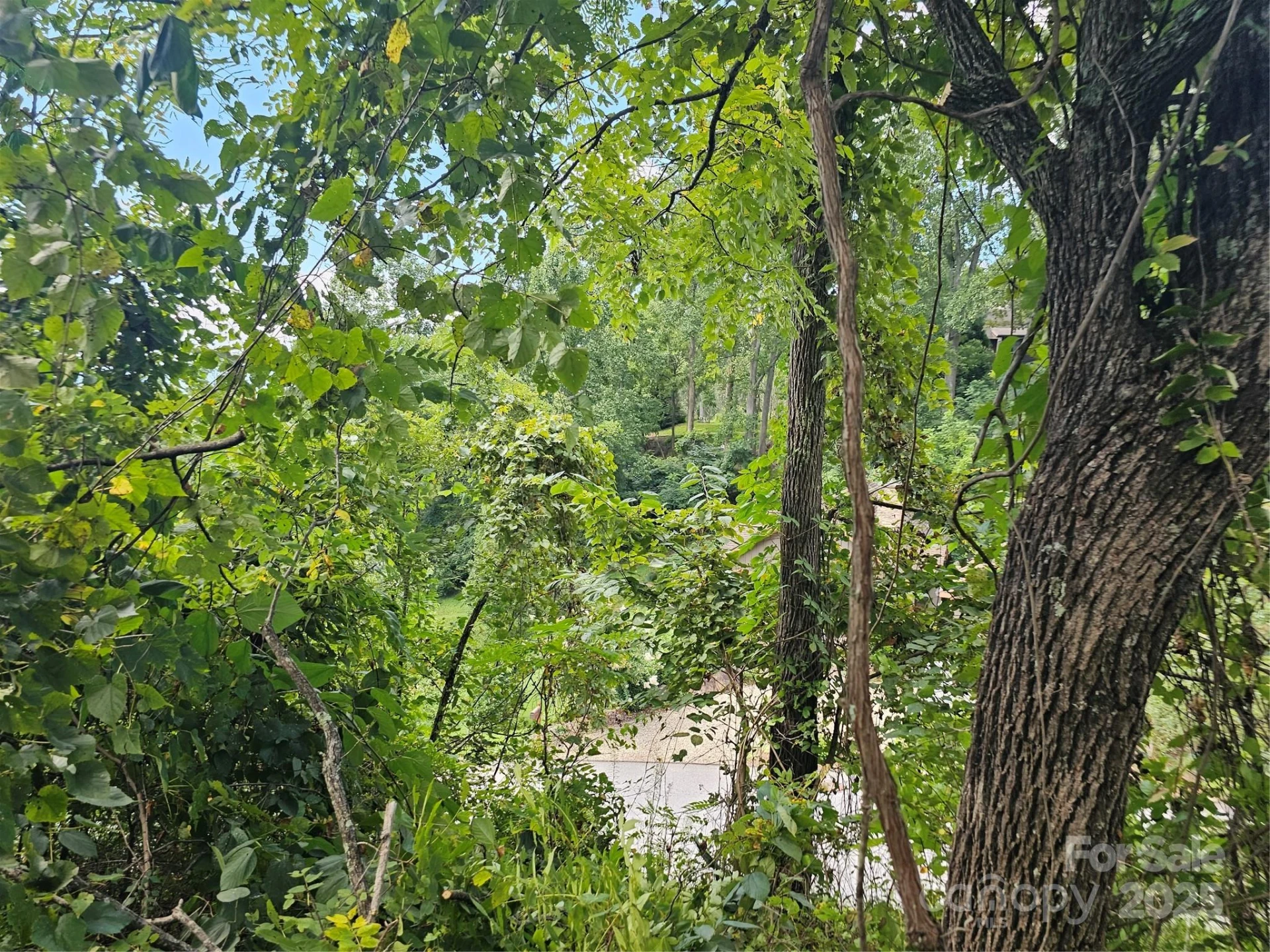 97 Destination Drive - Photo 18