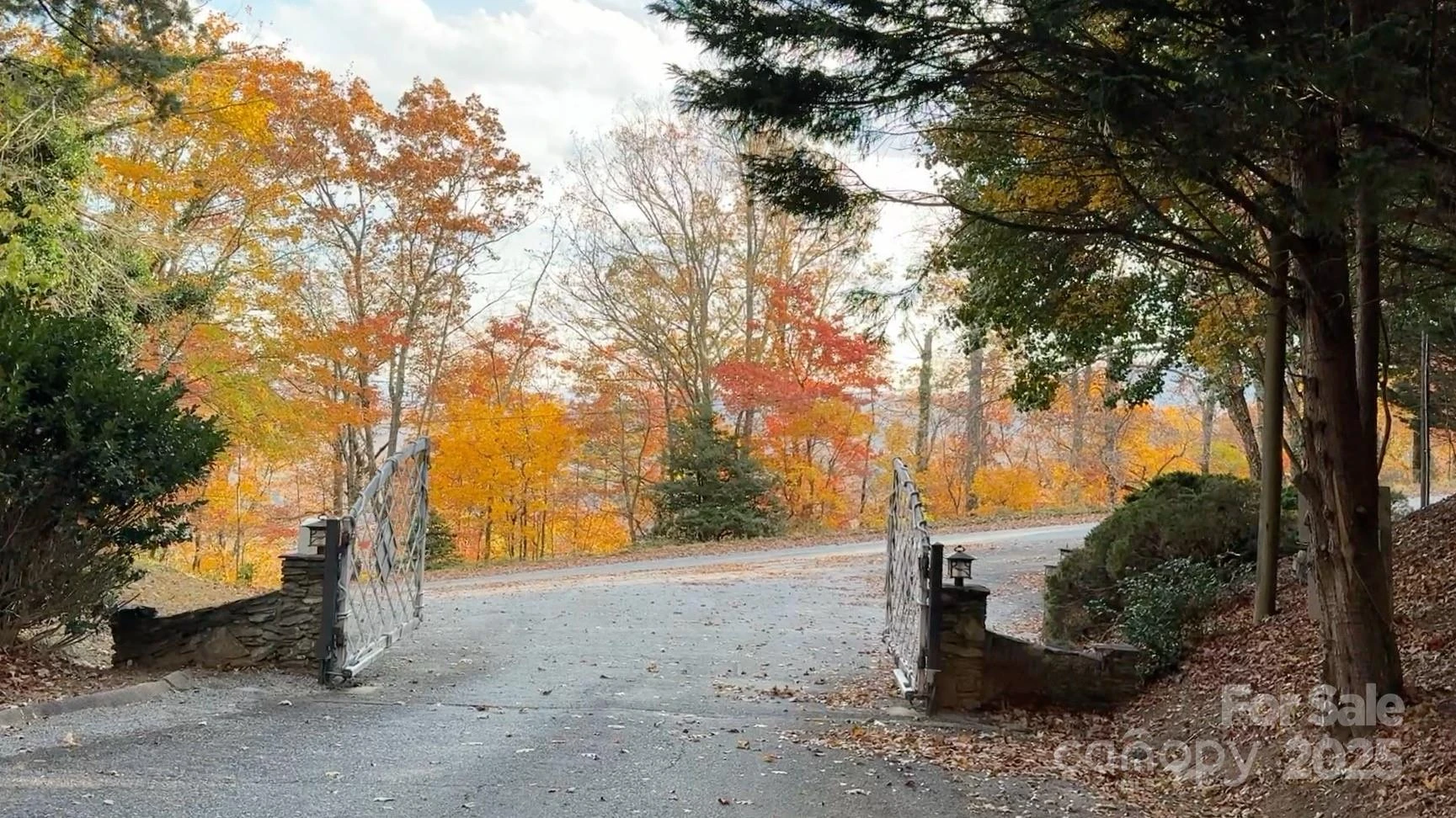 630 Melrose Mountain Road - Photo 2
