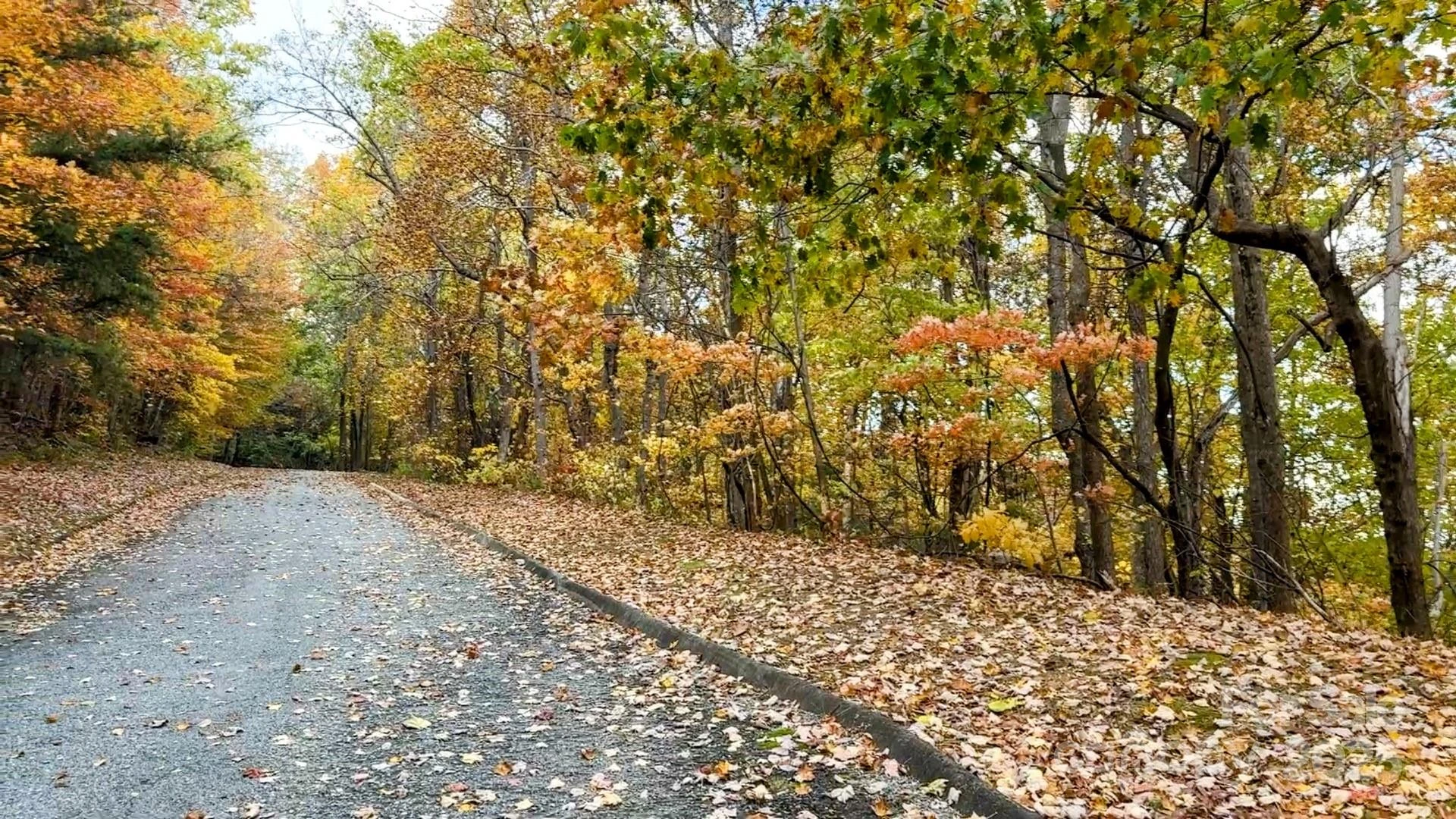 630 Melrose Mountain Road - Photo 8