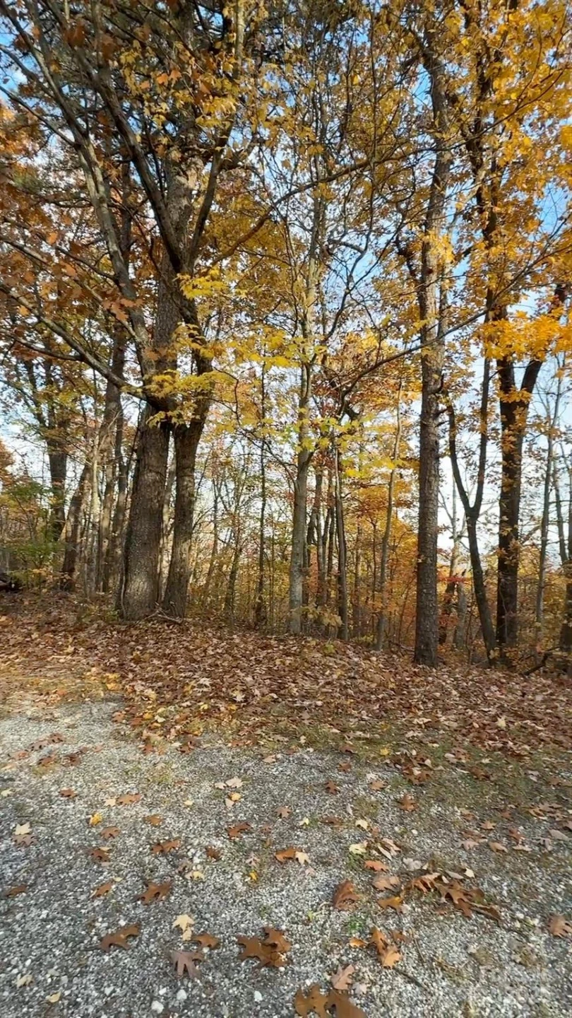 630 Melrose Mountain Road - Photo 9