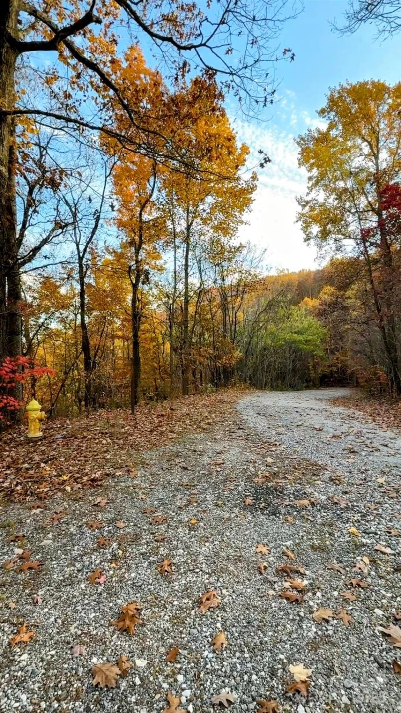 630 Melrose Mountain Road - Photo 10