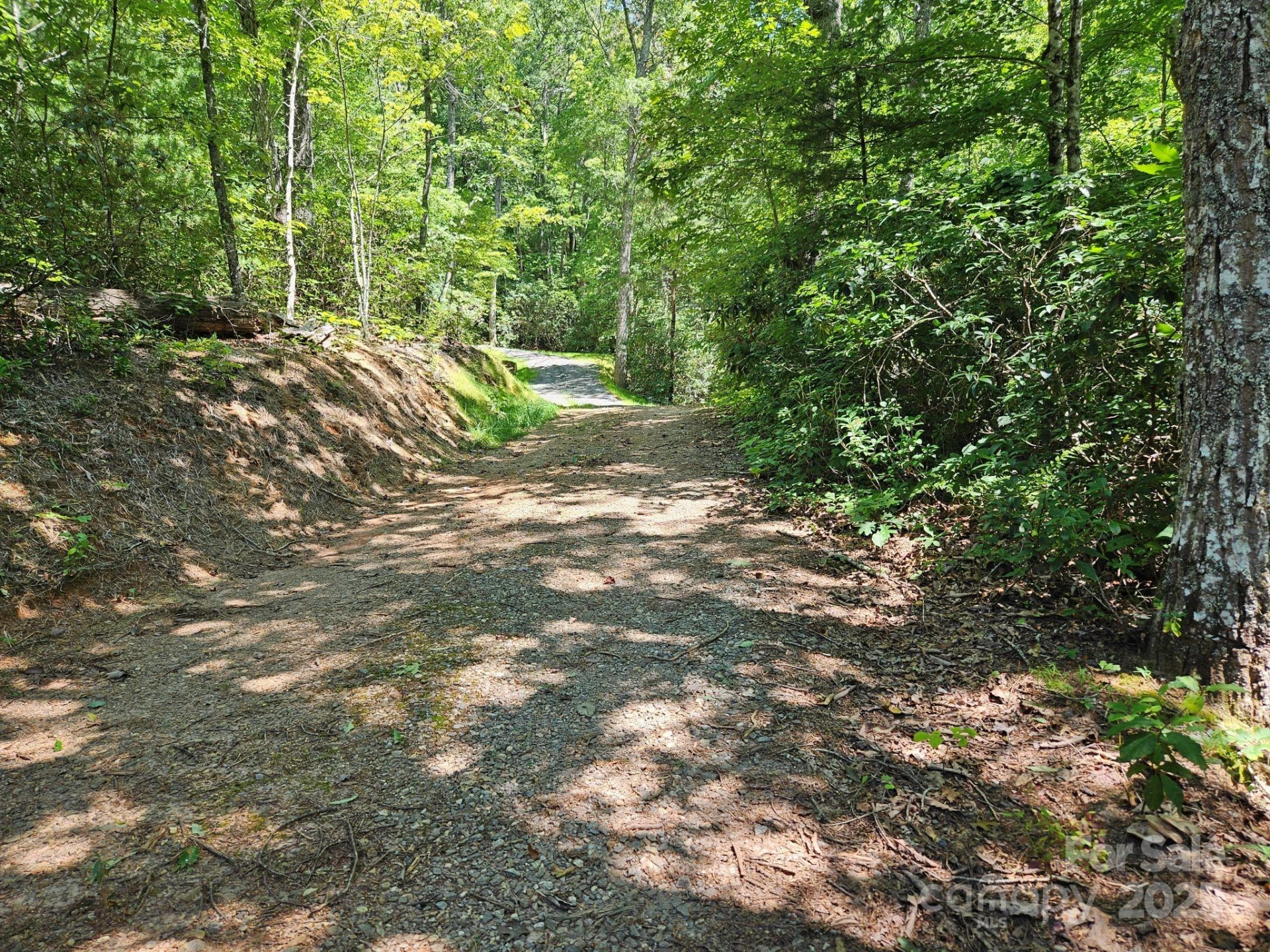 0 Blue Vista Road #1 - Photo 2