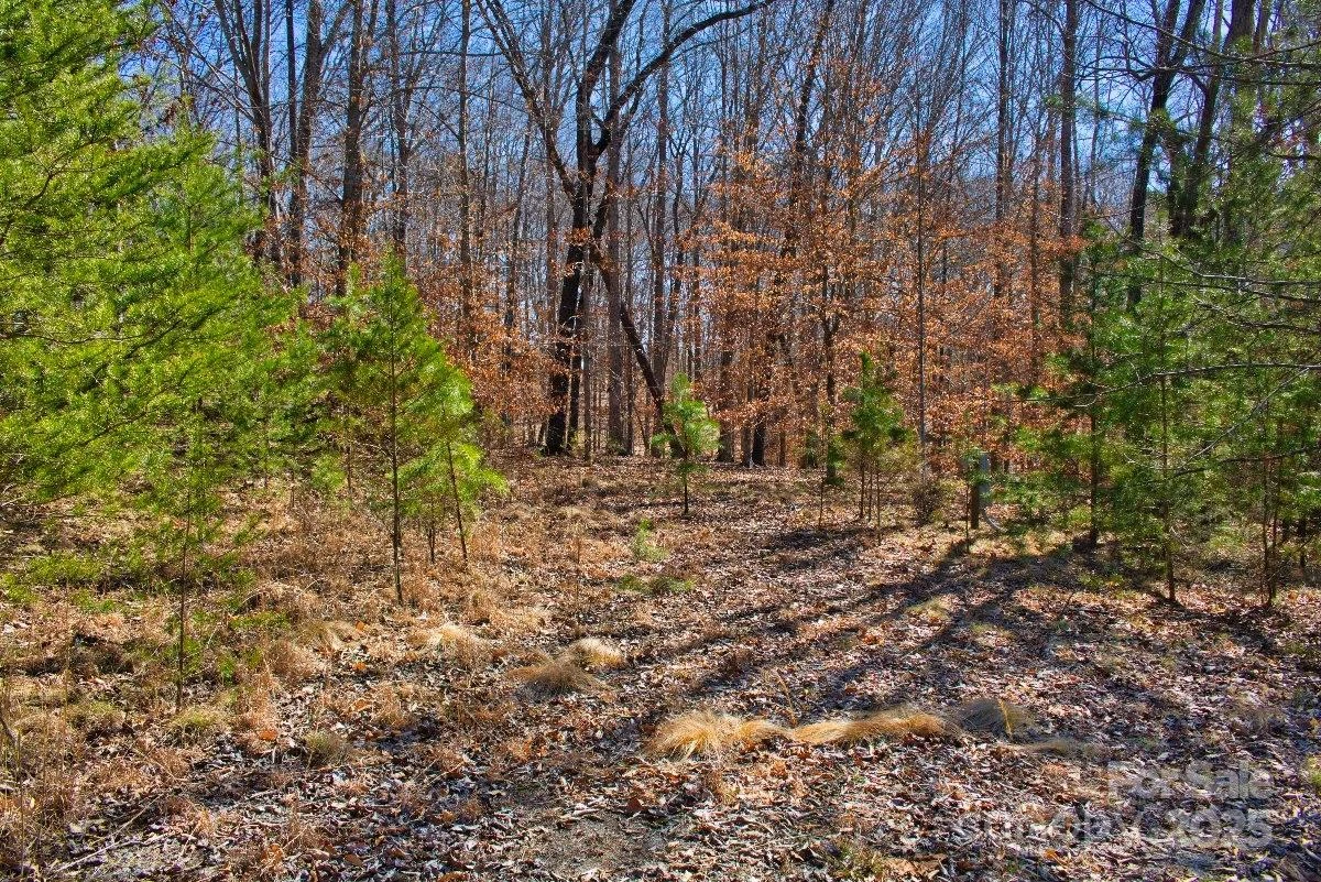 0 Cinnamon Ridge #404 - Photo 2