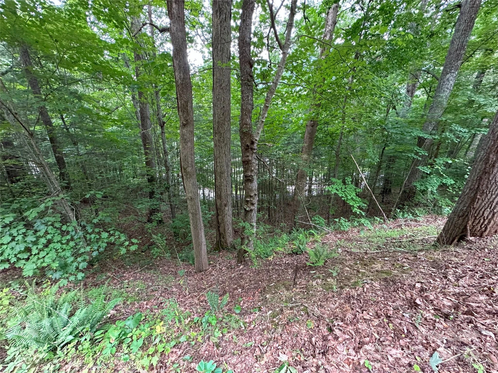 000 Ruffed Grouse Lane - Photo 5