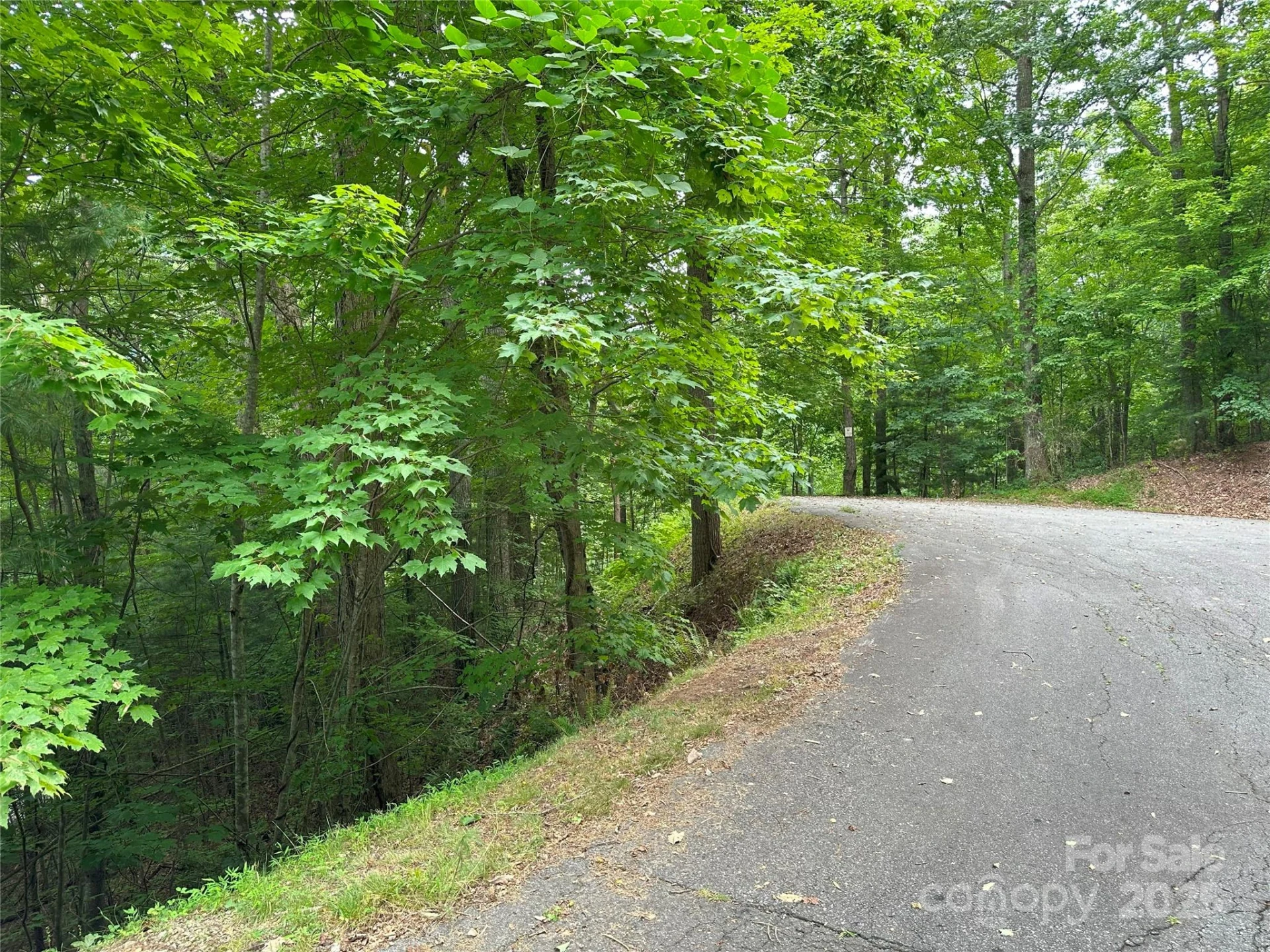 000 Ruffed Grouse Lane - Photo 7