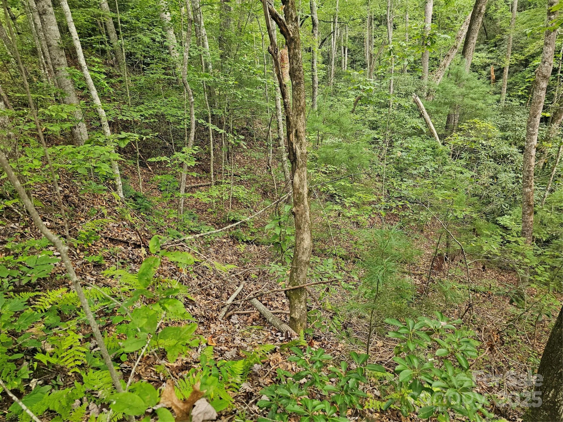 99999 Majestic Trace #25 - Photo 11
