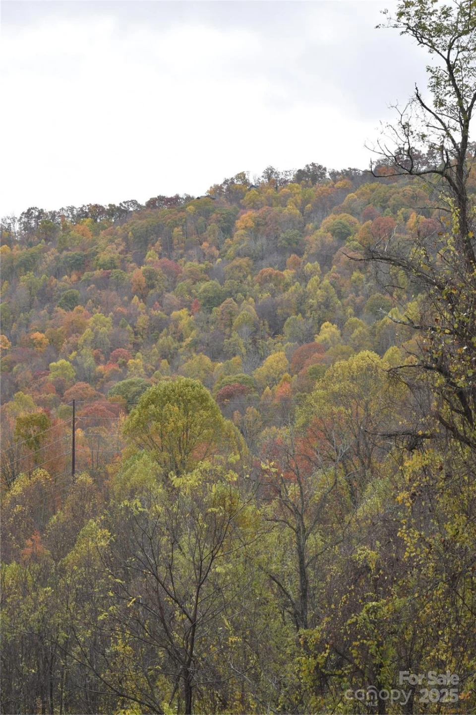 107 Escalante Road #14 - Photo 11