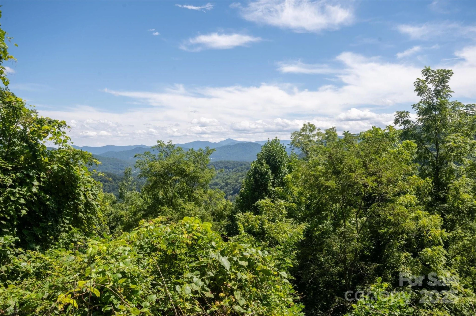 107 Escalante Road #14 - Photo 8
