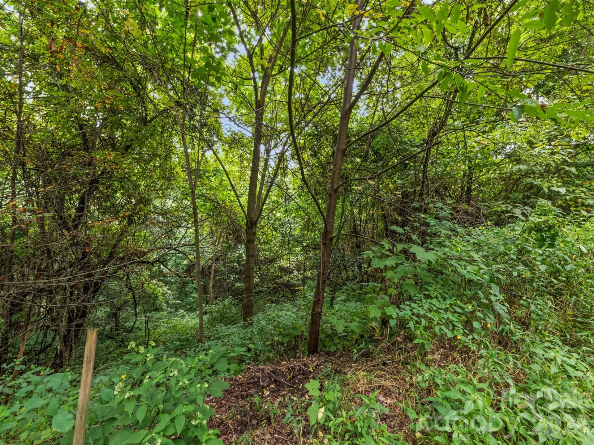 403 Malin Trail - Photo 13