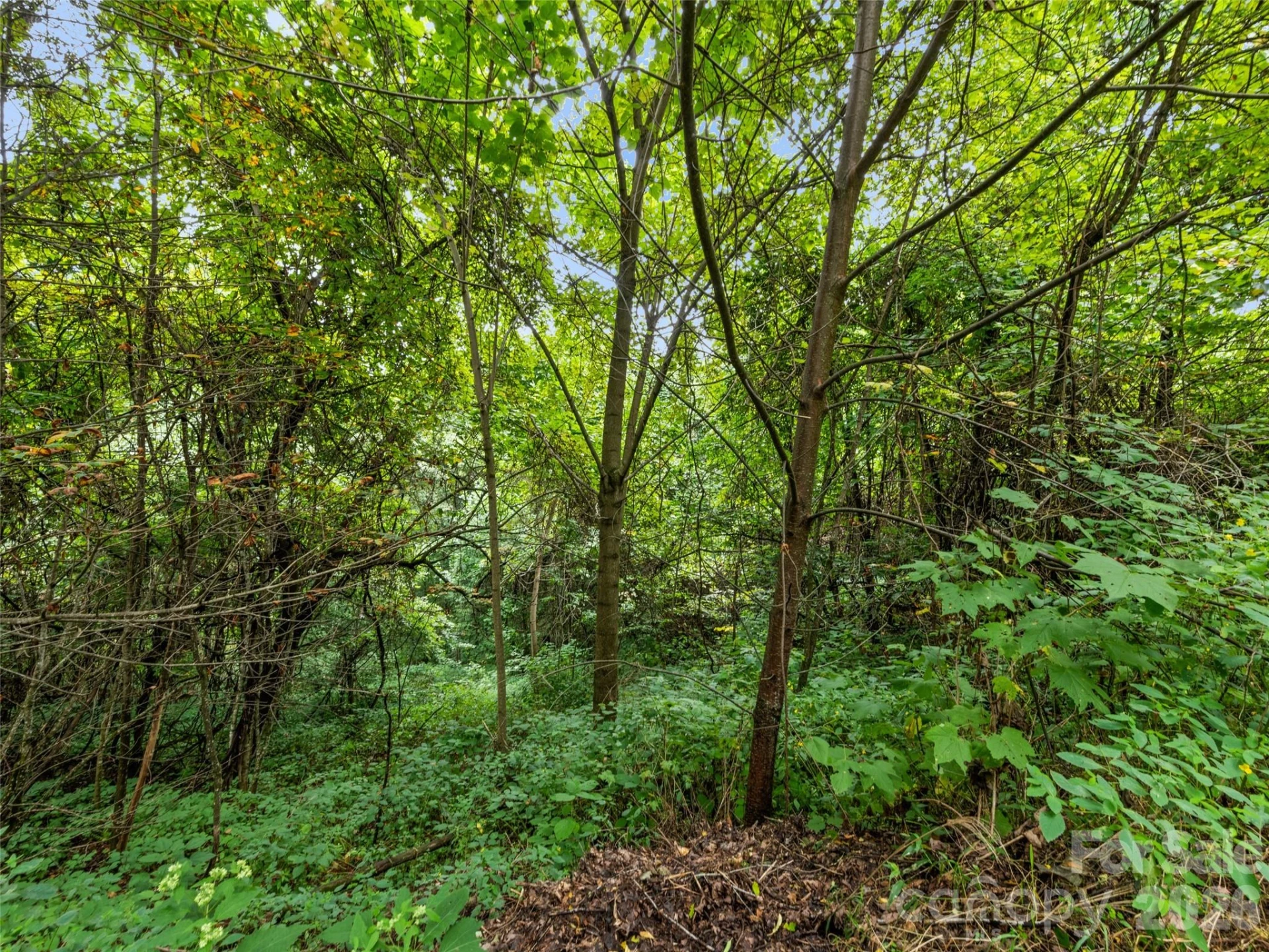 403 Malin Trail - Photo 14