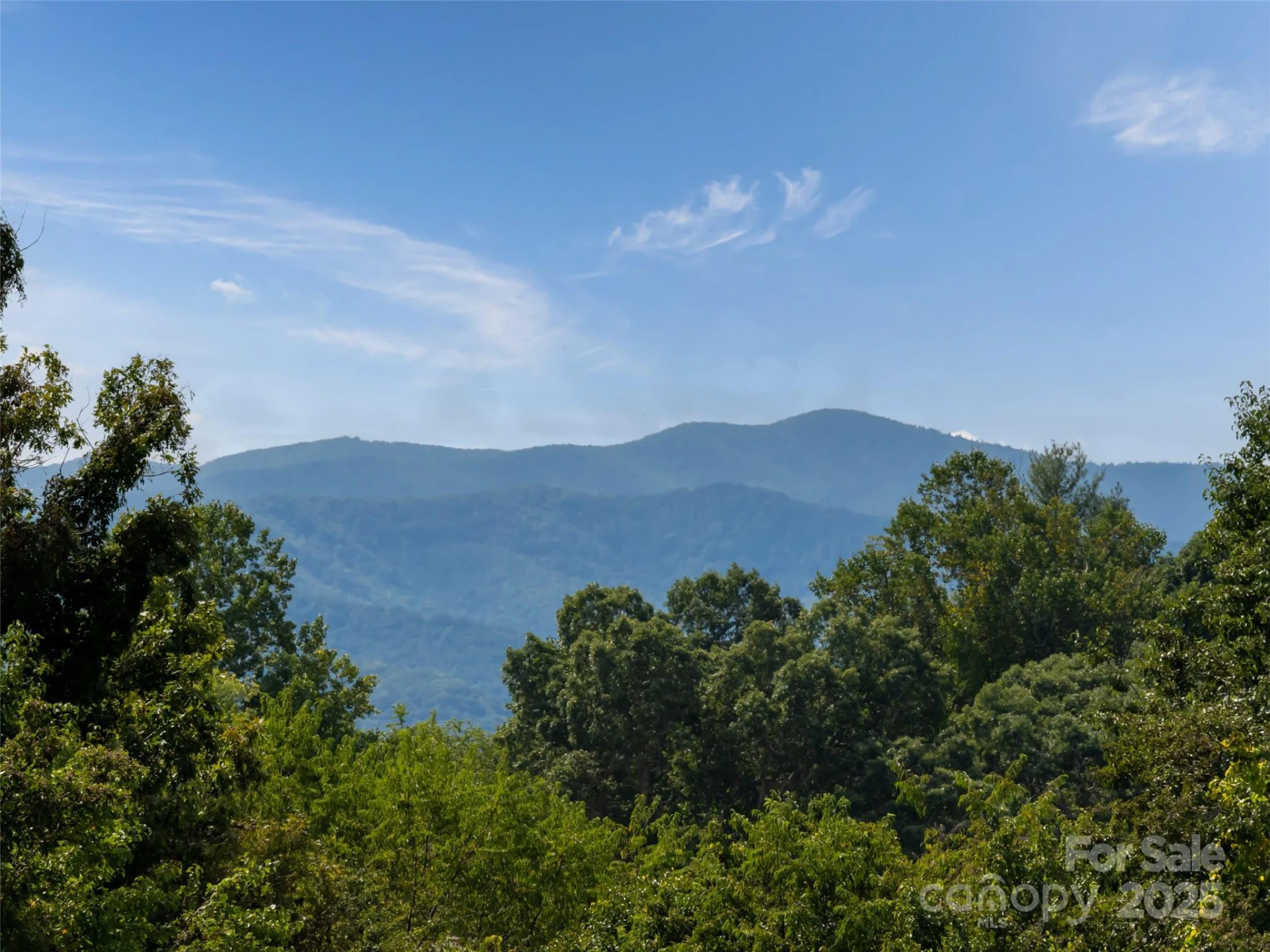 202 Soapstone Trail #68 - Photo 10
