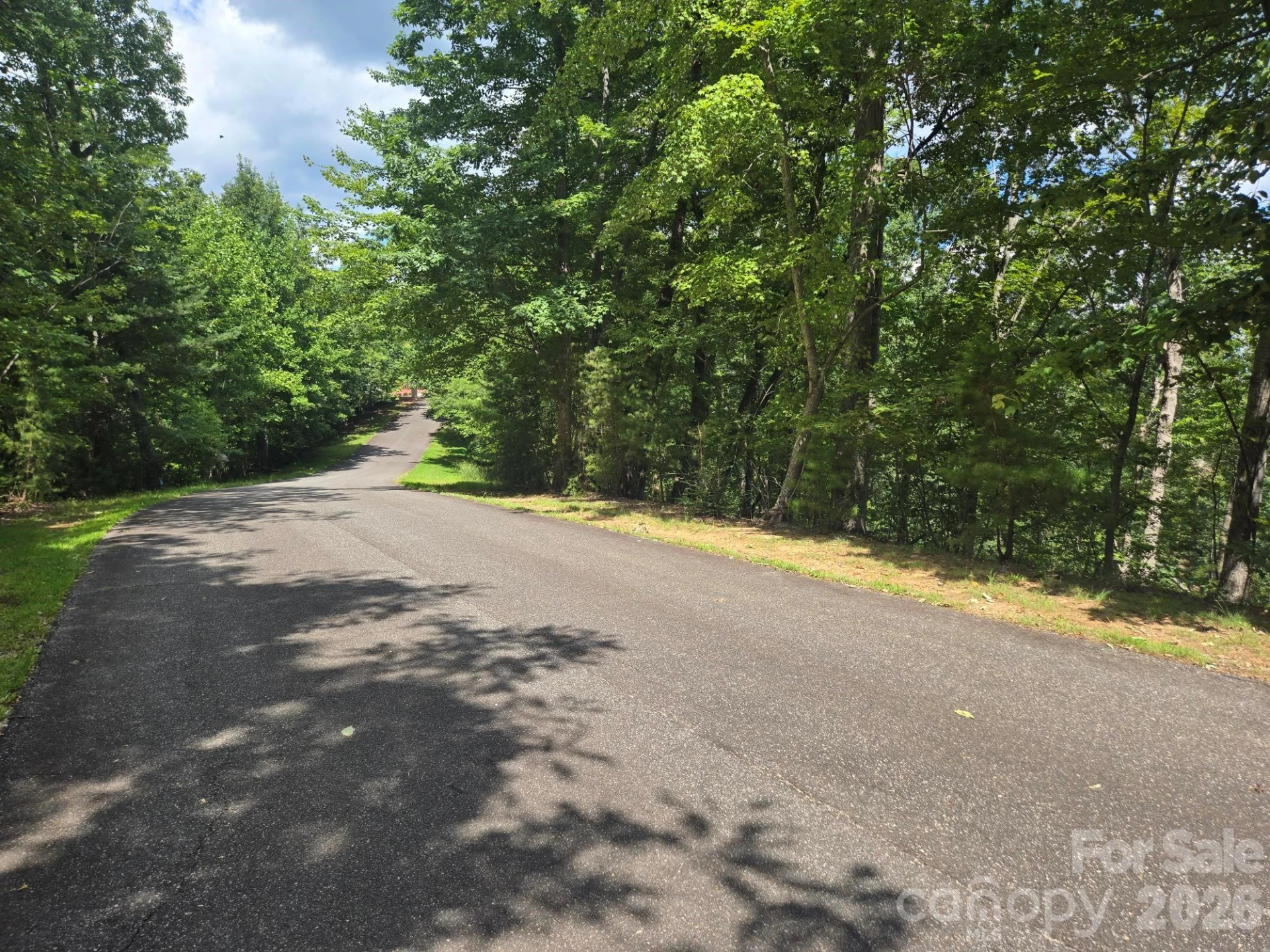 Lot 34 Hawks Nest Trail - Photo 2