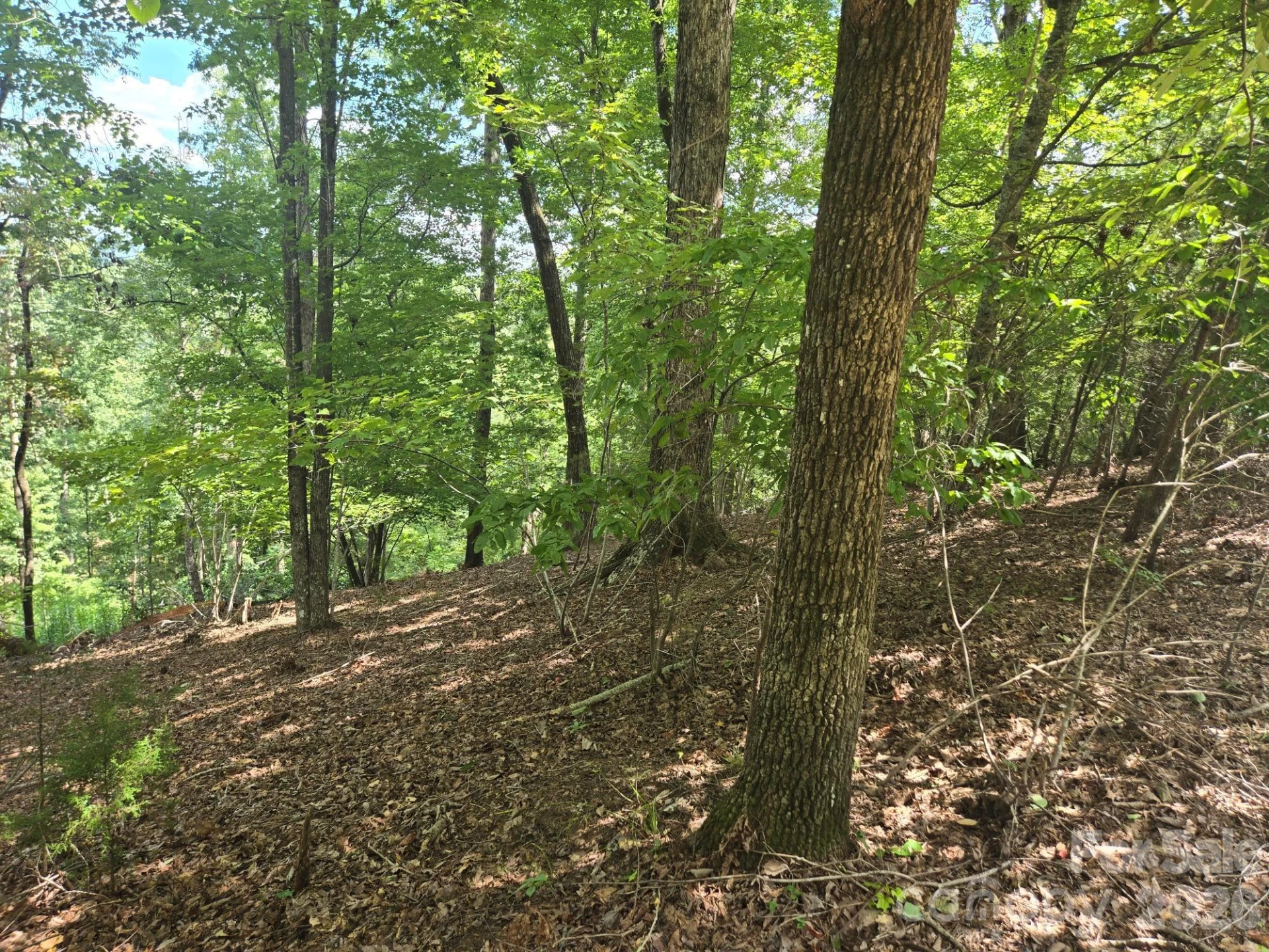 Lot 34 Hawks Nest Trail - Photo 4