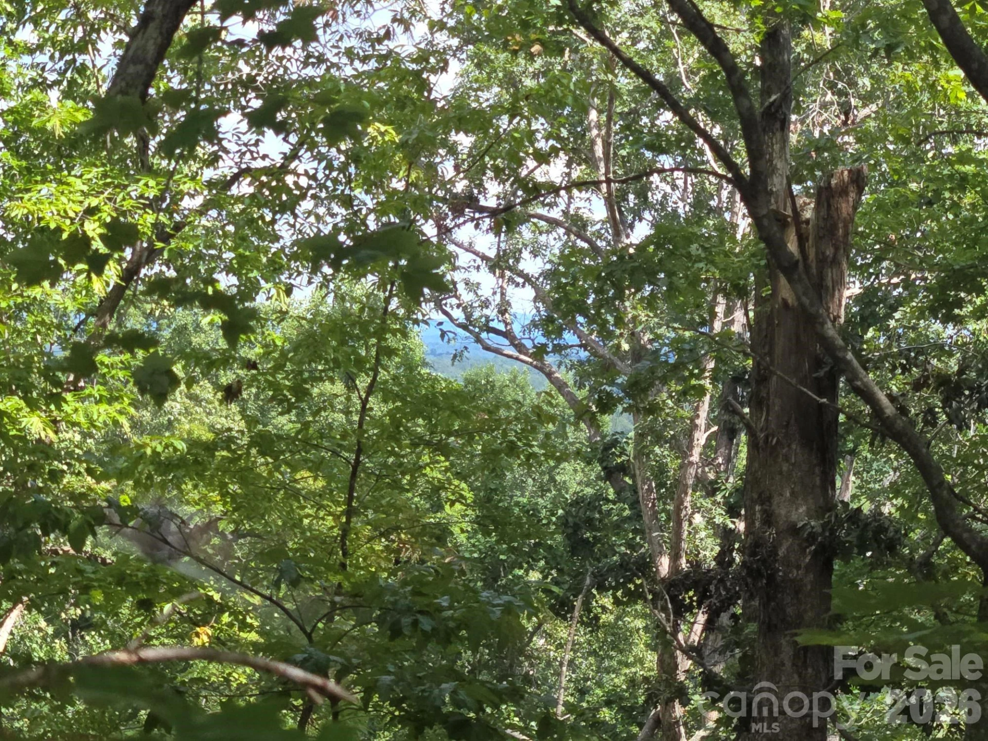 Lot 34 Hawks Nest Trail - Photo 5