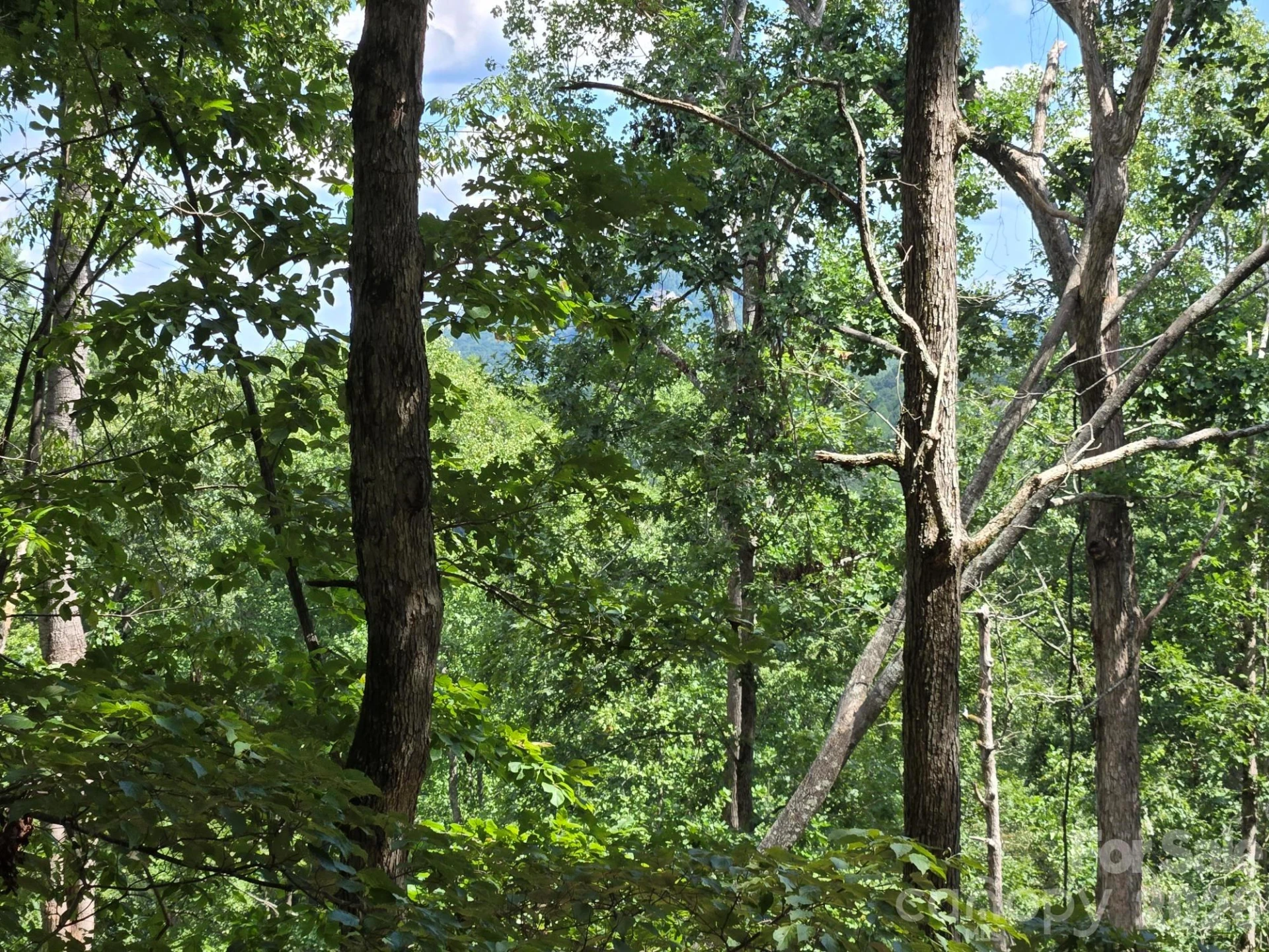 Lot 34 Hawks Nest Trail - Photo 6